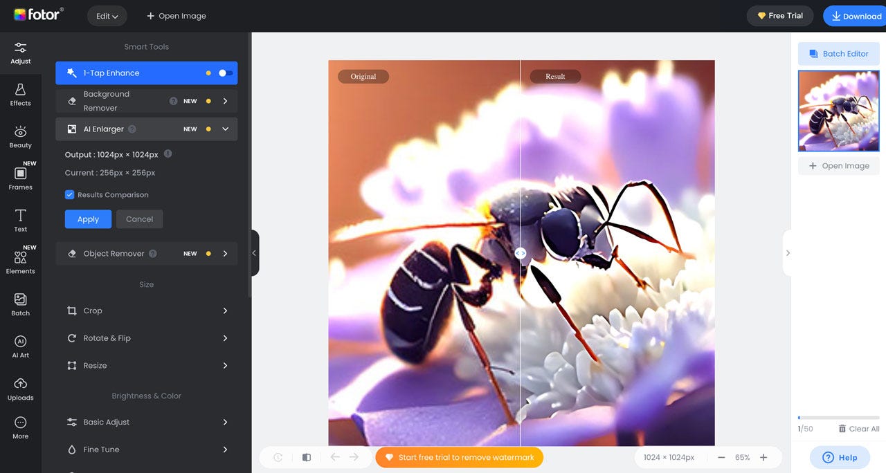 AI Image Upscaler & Quality Enlarge Tools, Enhance AI art