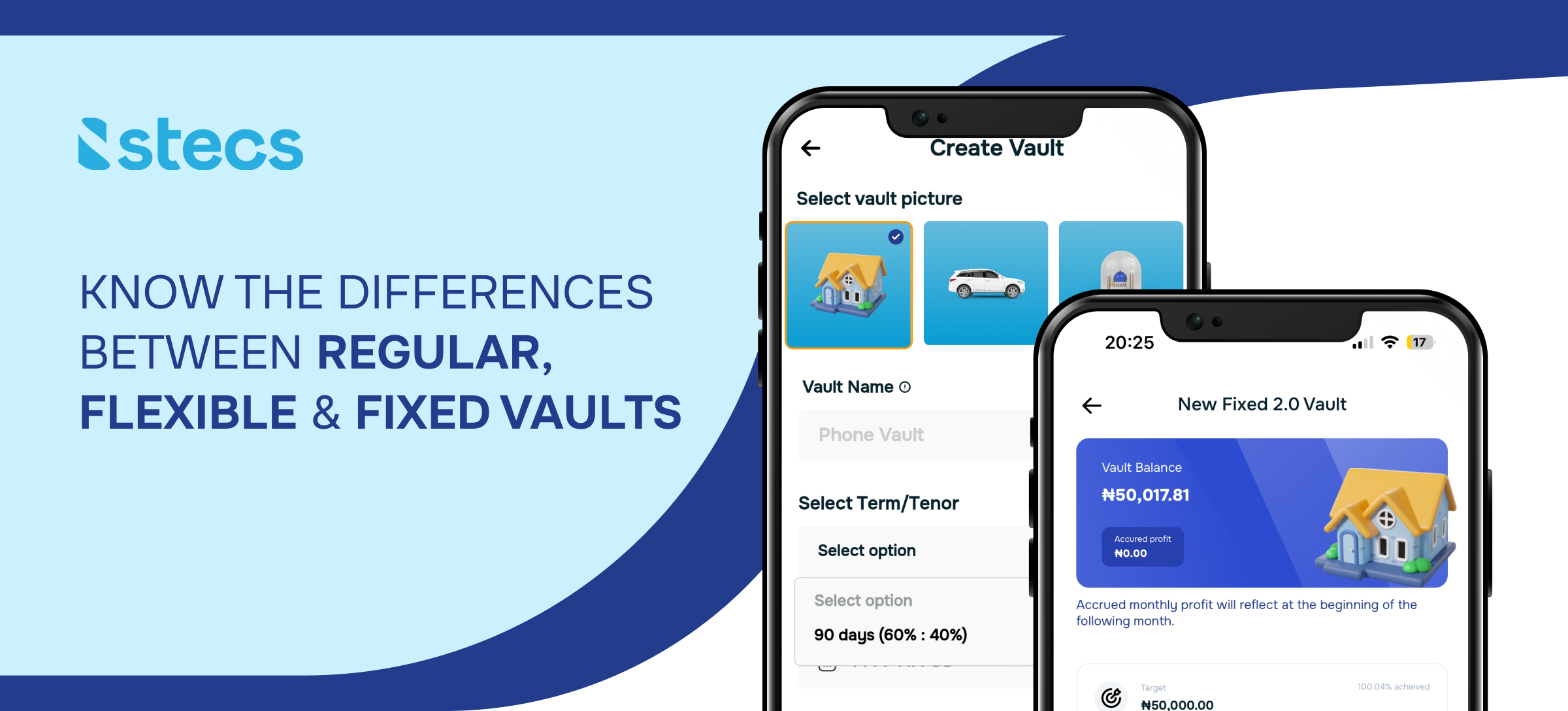 Regular Vault vs Savings Vault - Stecs Newsletter
