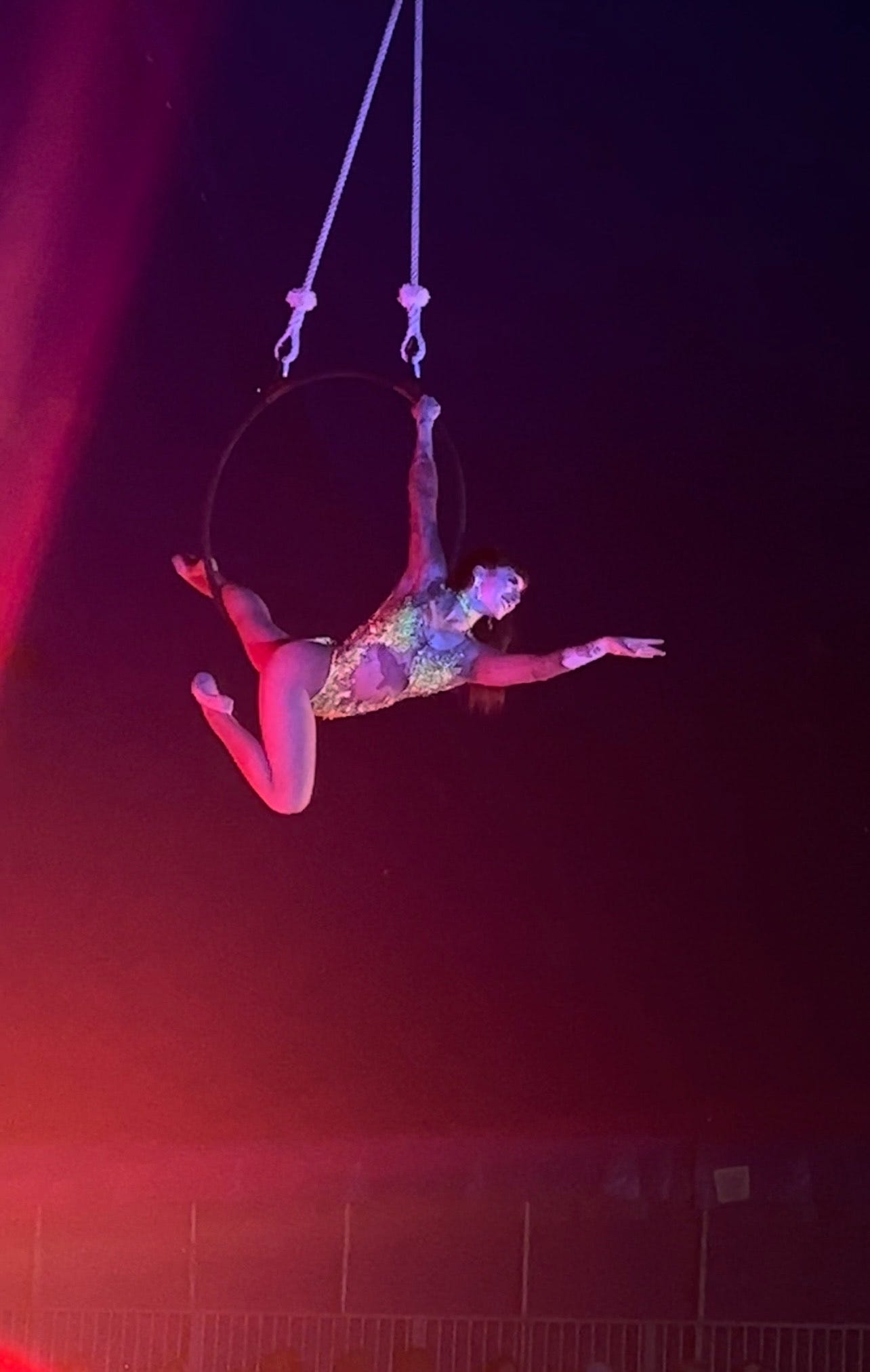 Circus Comes to Town! - by A. Kevin Corvo