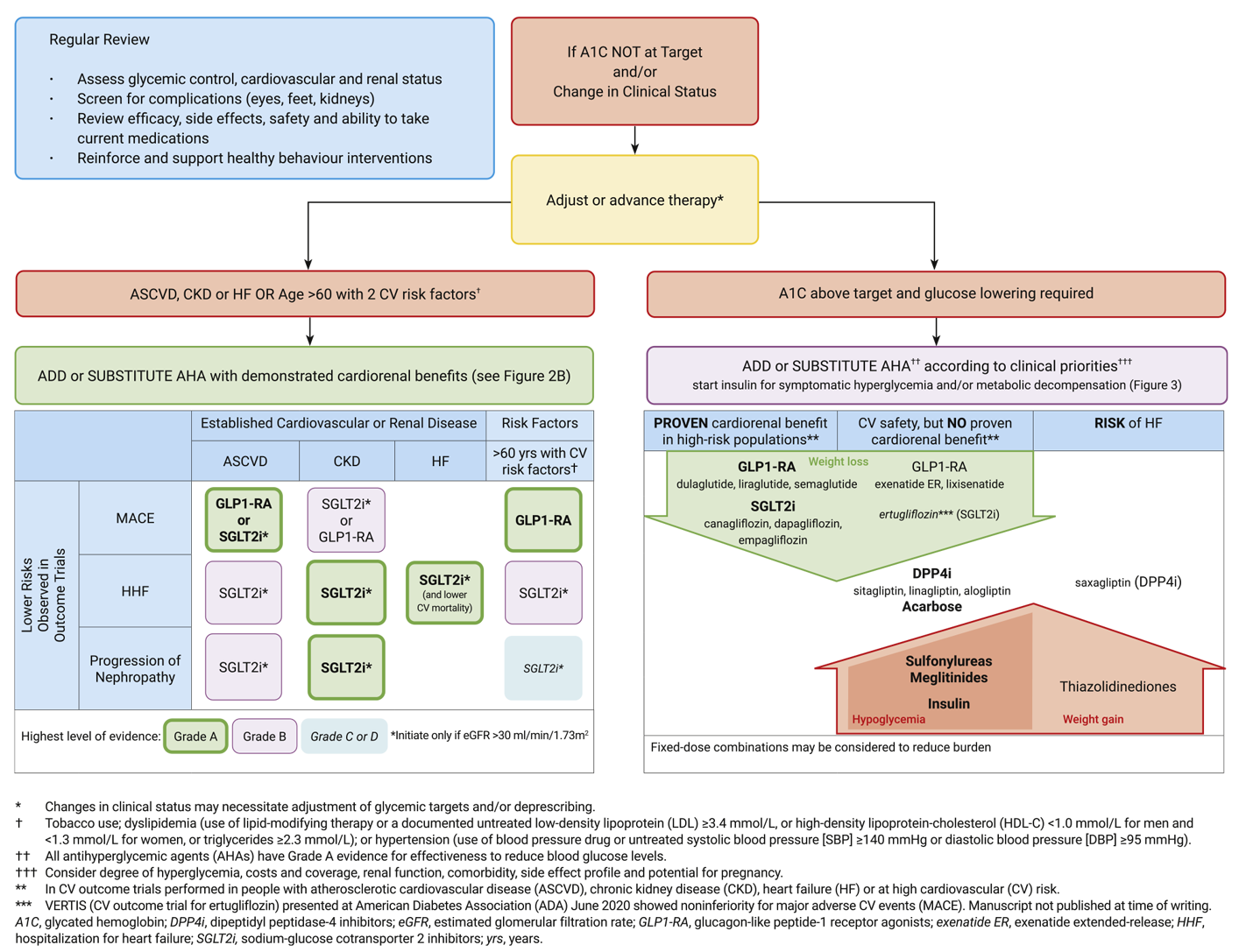 Newsletter 21 Diabetes GLP1 agonists aka OZEMPIC and family