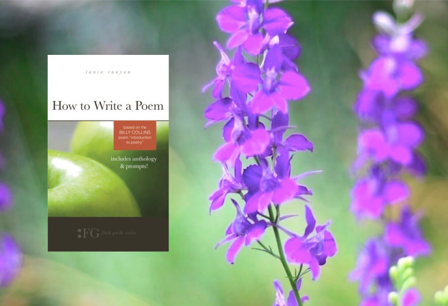 how-to-revise-your-poems-the-write-to-poetry