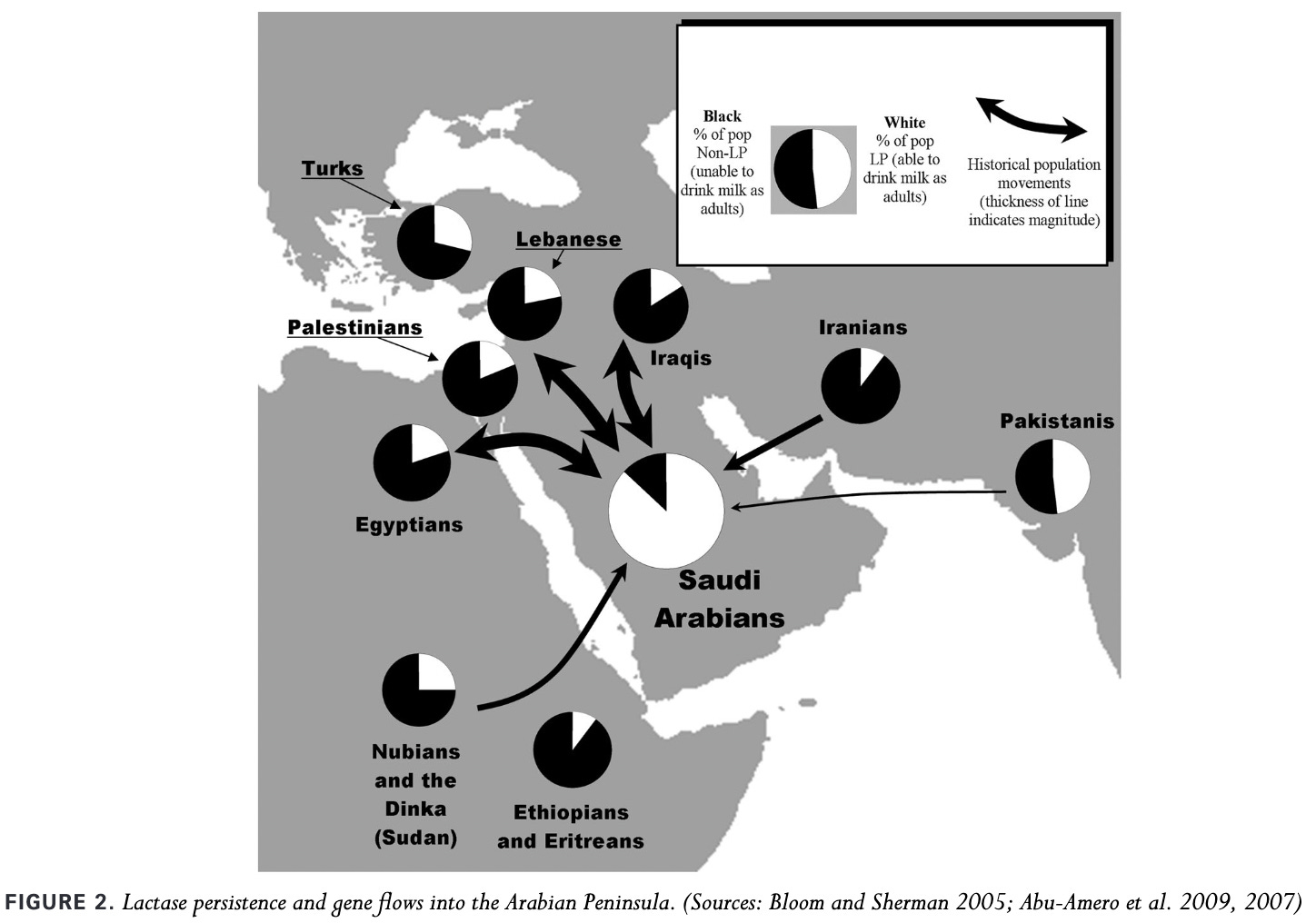 Cousin Marriage & Islam - by Alice Evans