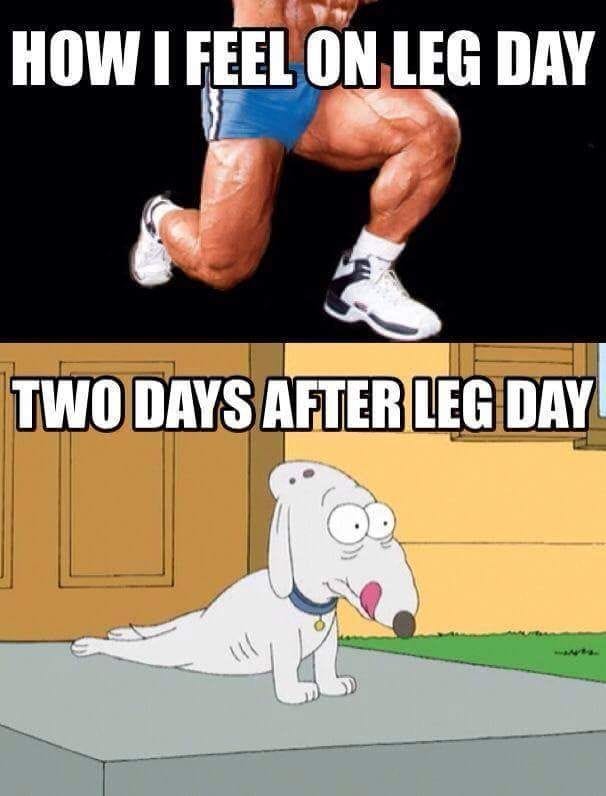 2 leg hotsell days a week