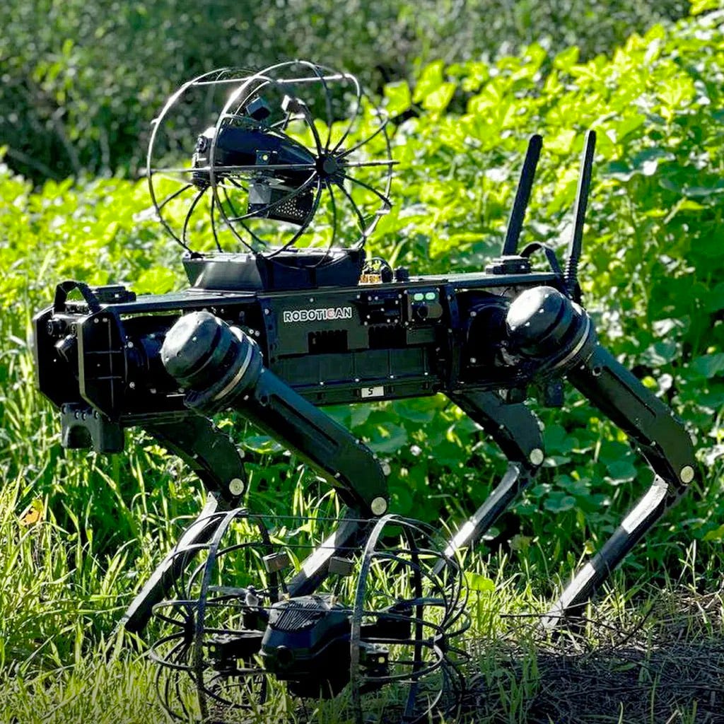 Darpa clearance dog robot
