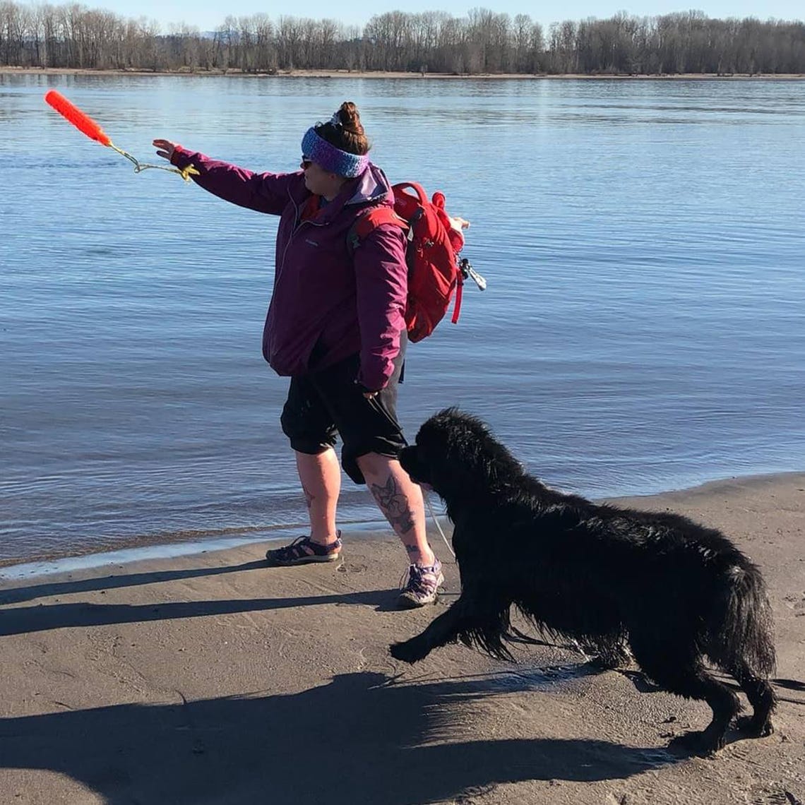 Sirius dog walking online