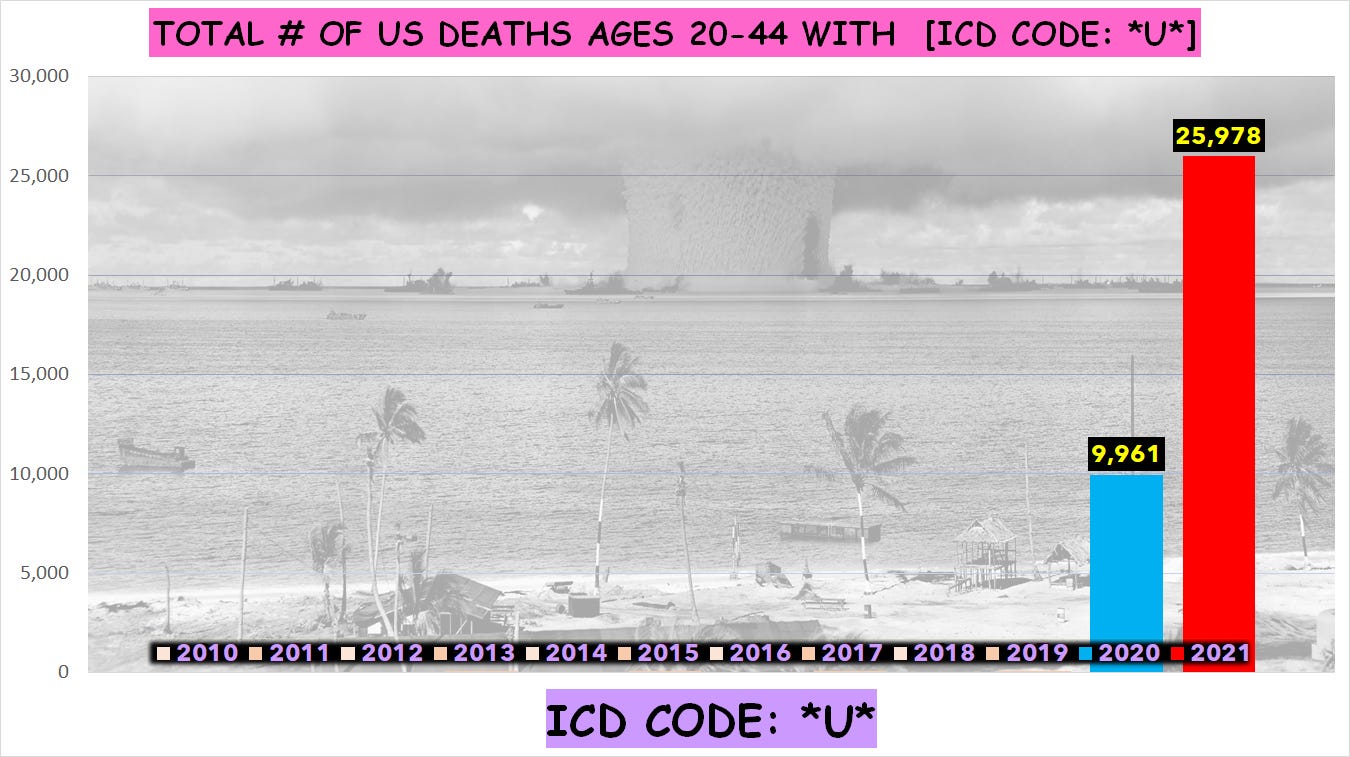 Total number of deaths **AGES 20-44** for the entire US from 2010-2021 ...