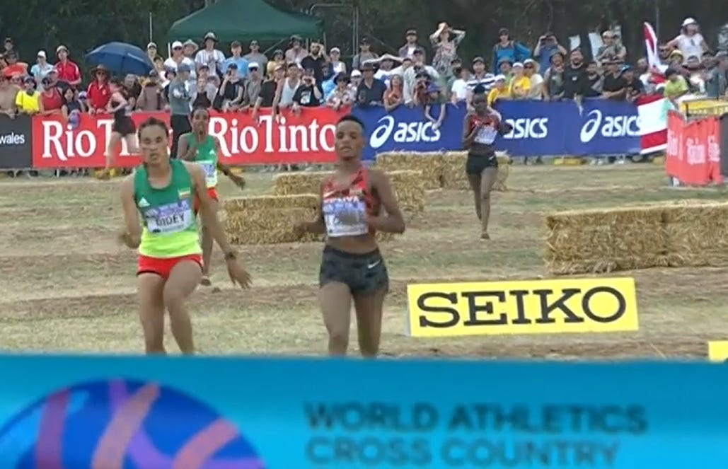 2023 World Cross Country Championships review