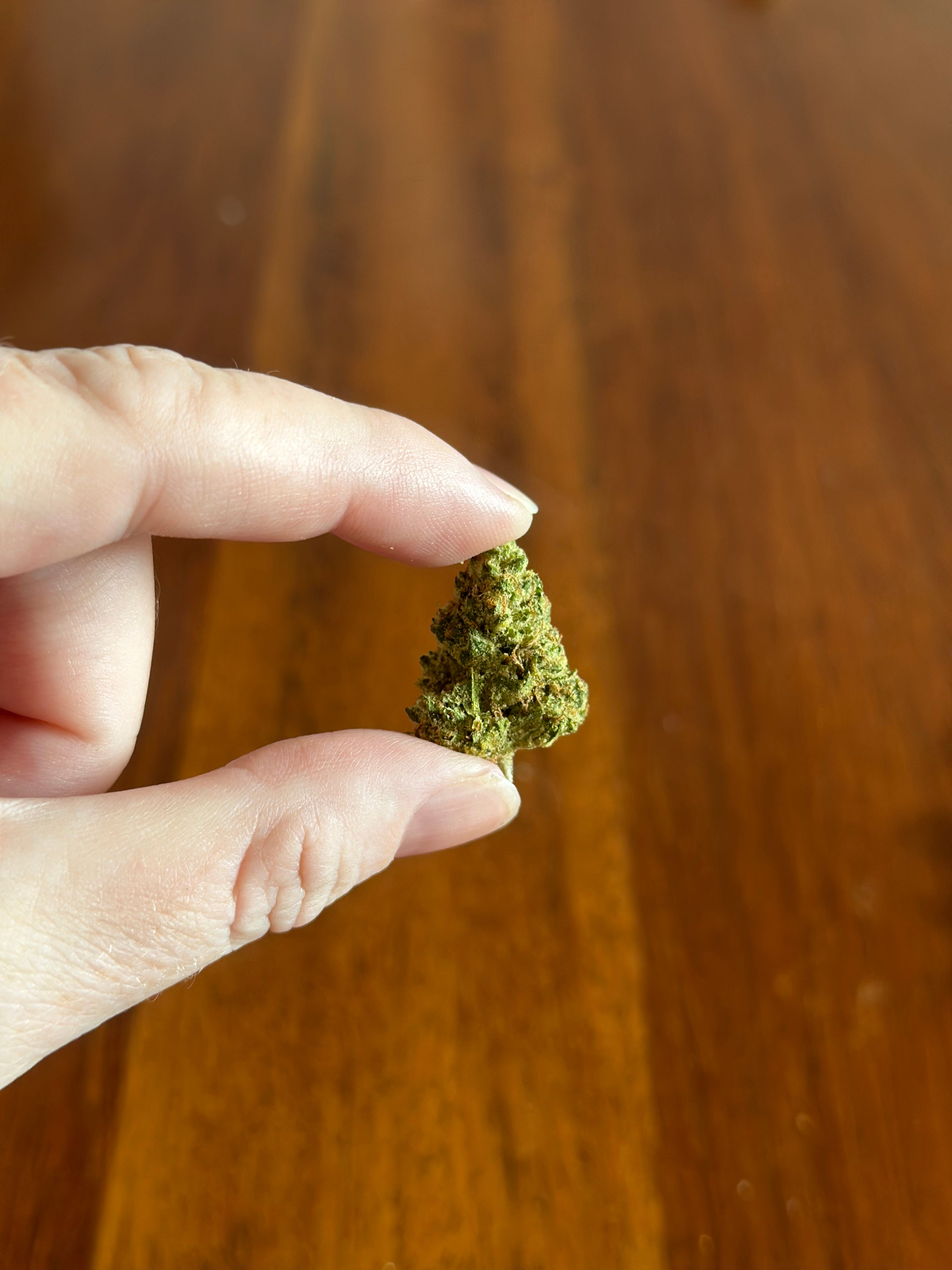Cannatrek