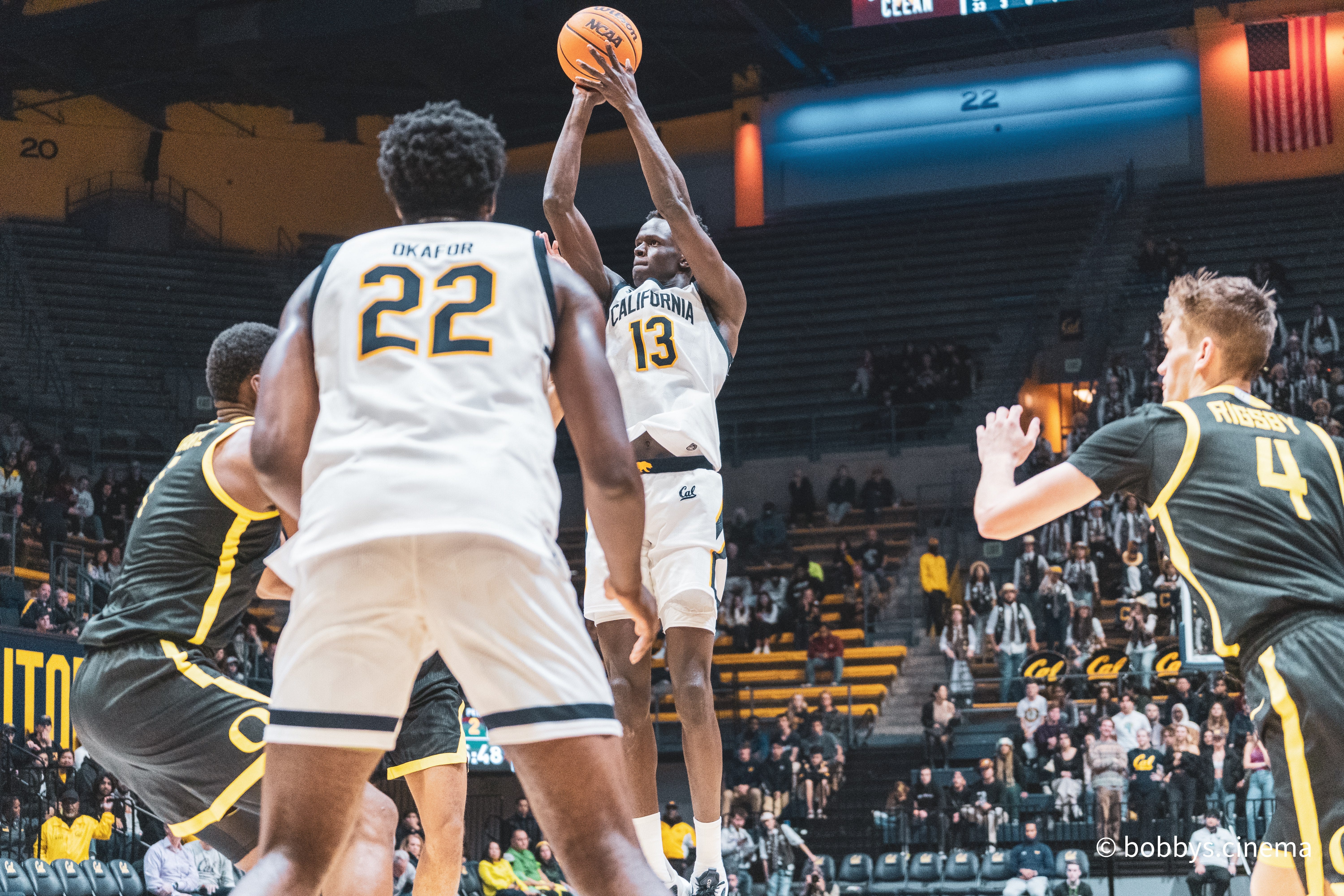 Cal online men's basketball