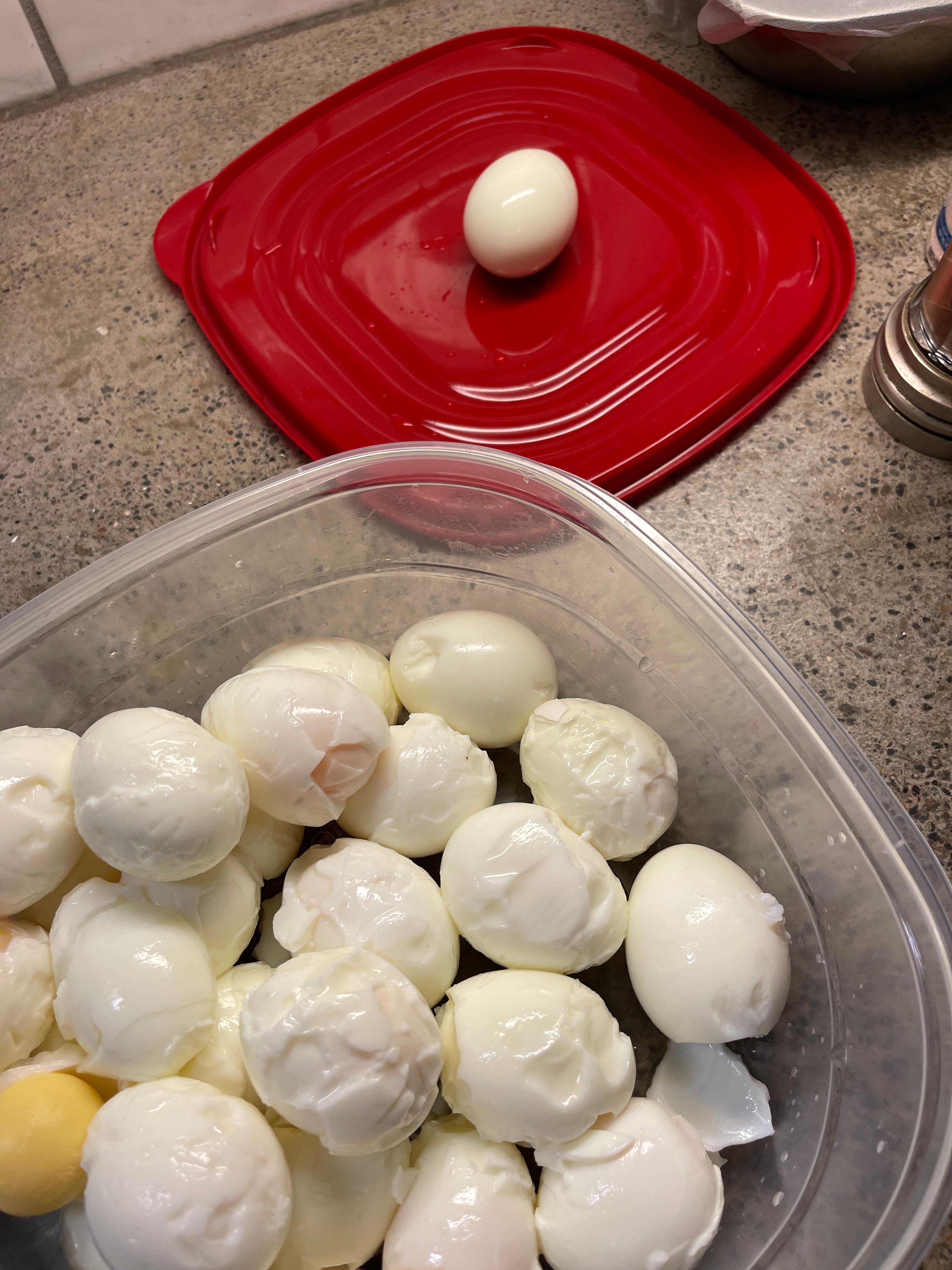 Shells Not Pictured - by Courtney Oates