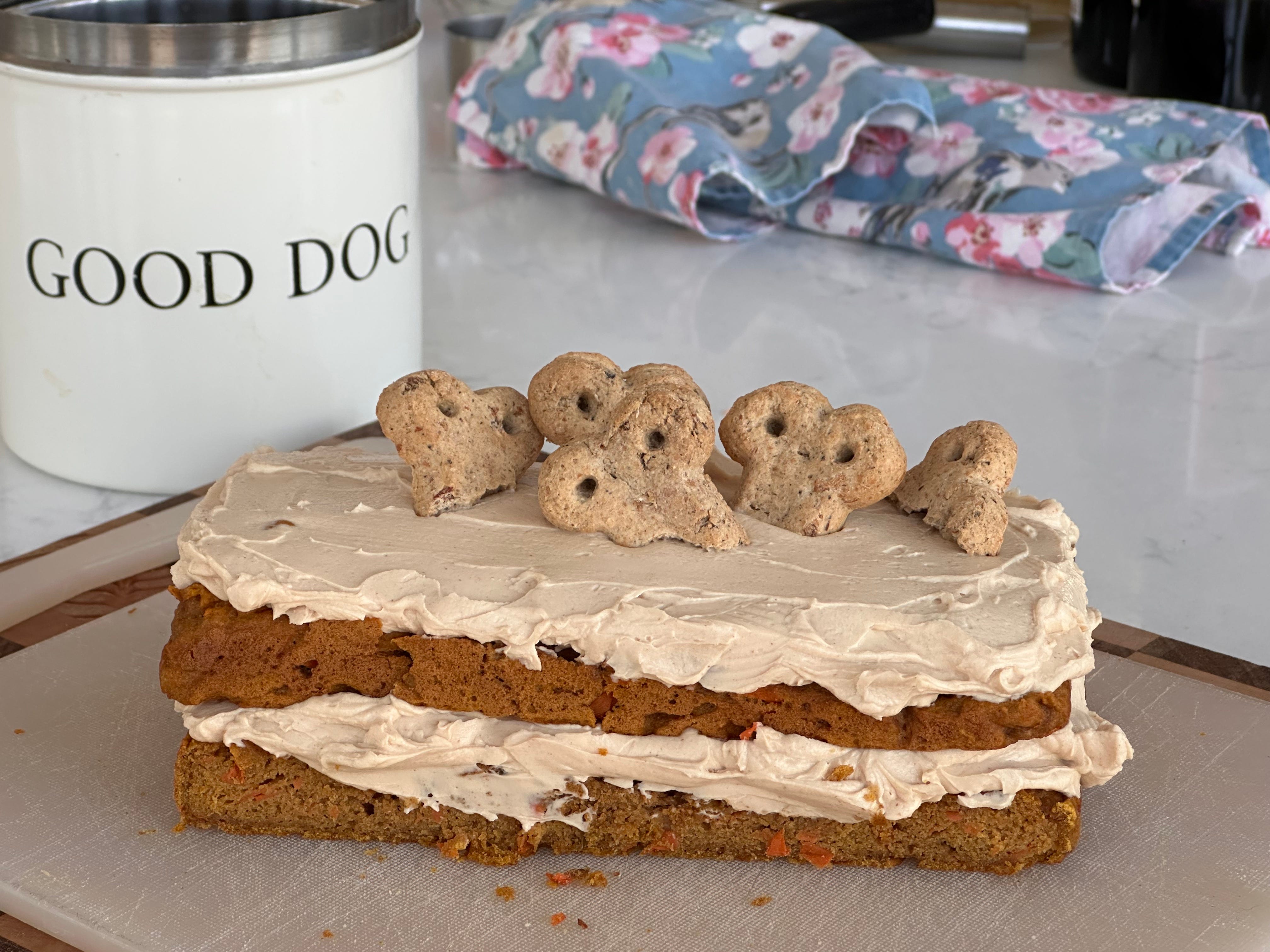 Cake good for dogs on sale