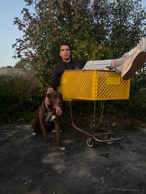 Adrian guest dog shop walking