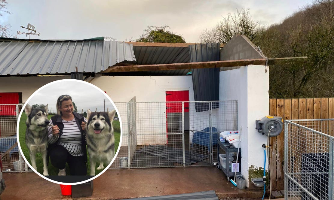 Husky shop rescue centre