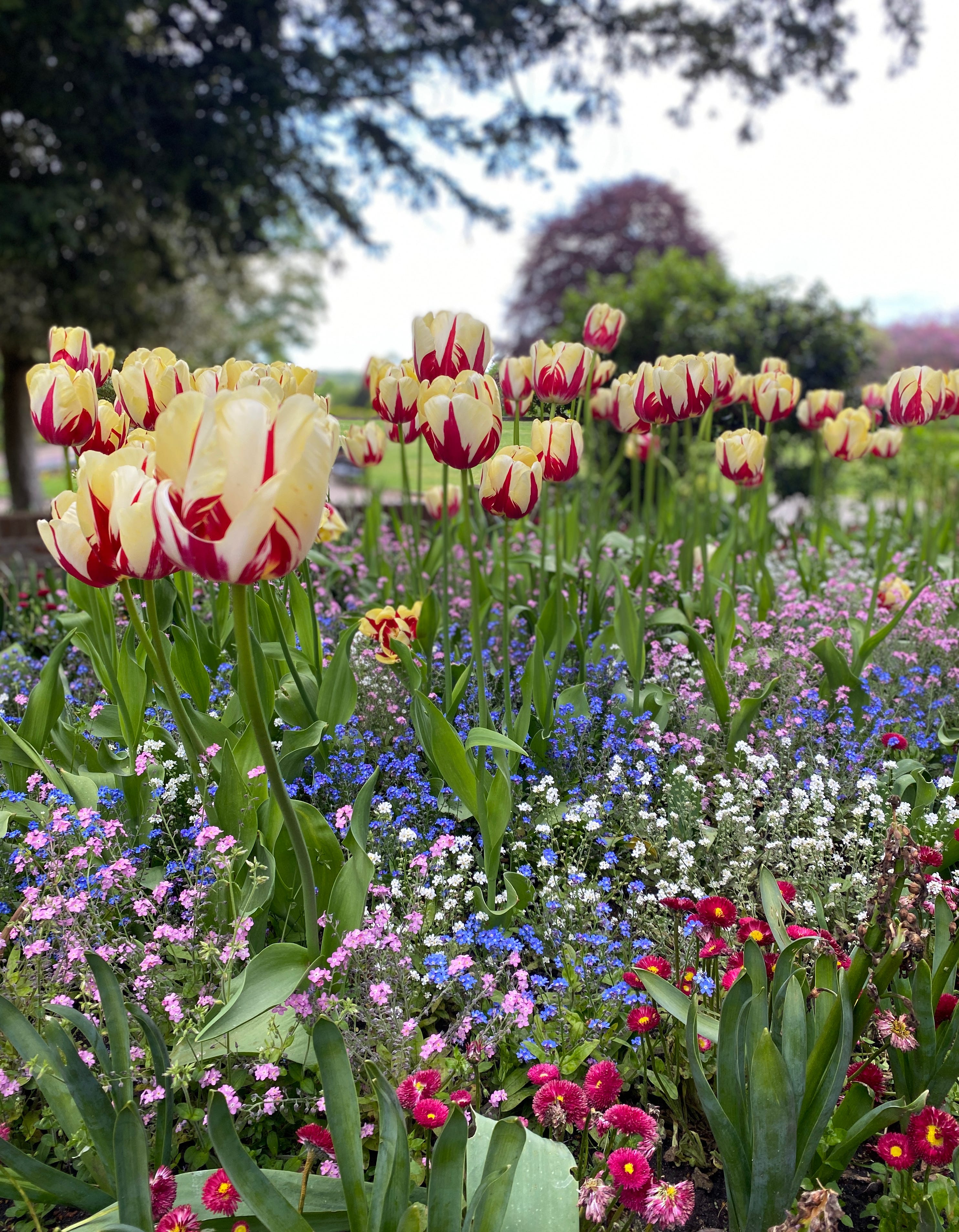 the essex way by Jane Brocket yarnstorm