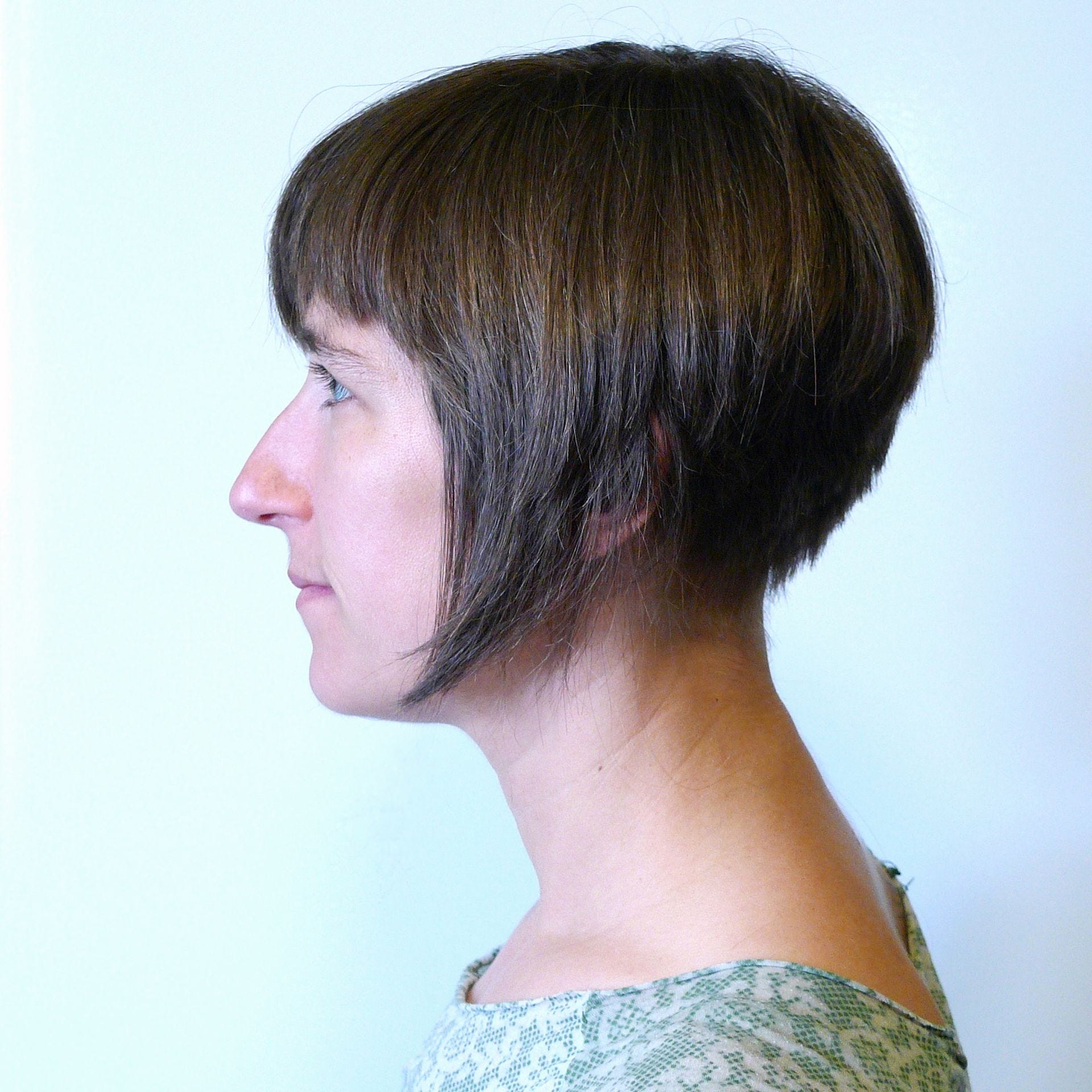 Karen haircut 2025