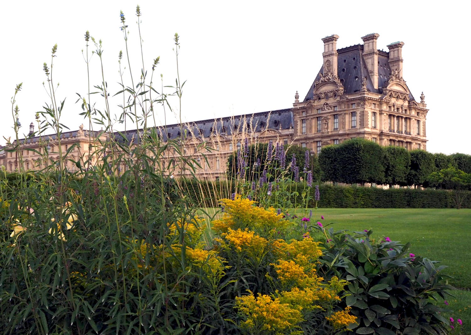 The Paris Chapter 17 23 July by Jenni Dawes