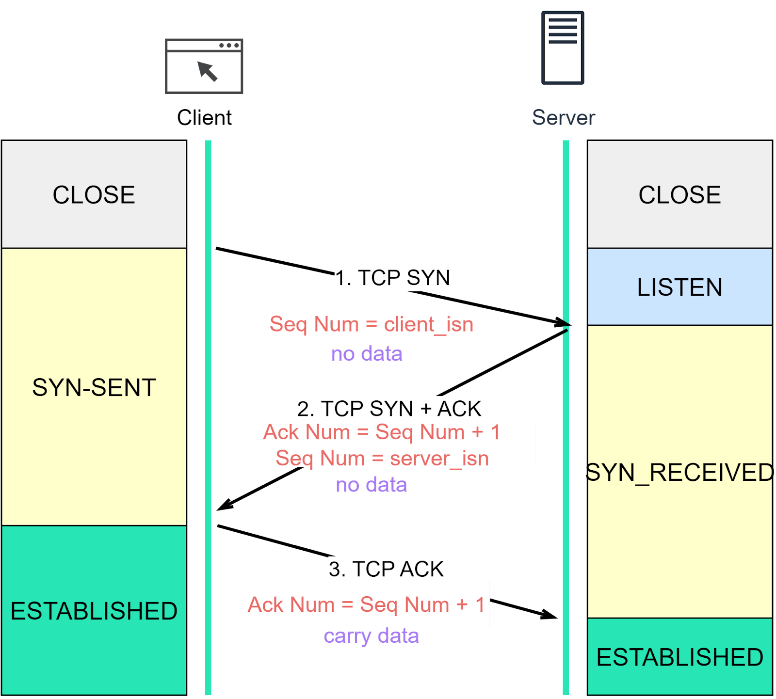 Everything You Always Wanted to Know About TCP But Too Afraid to Ask