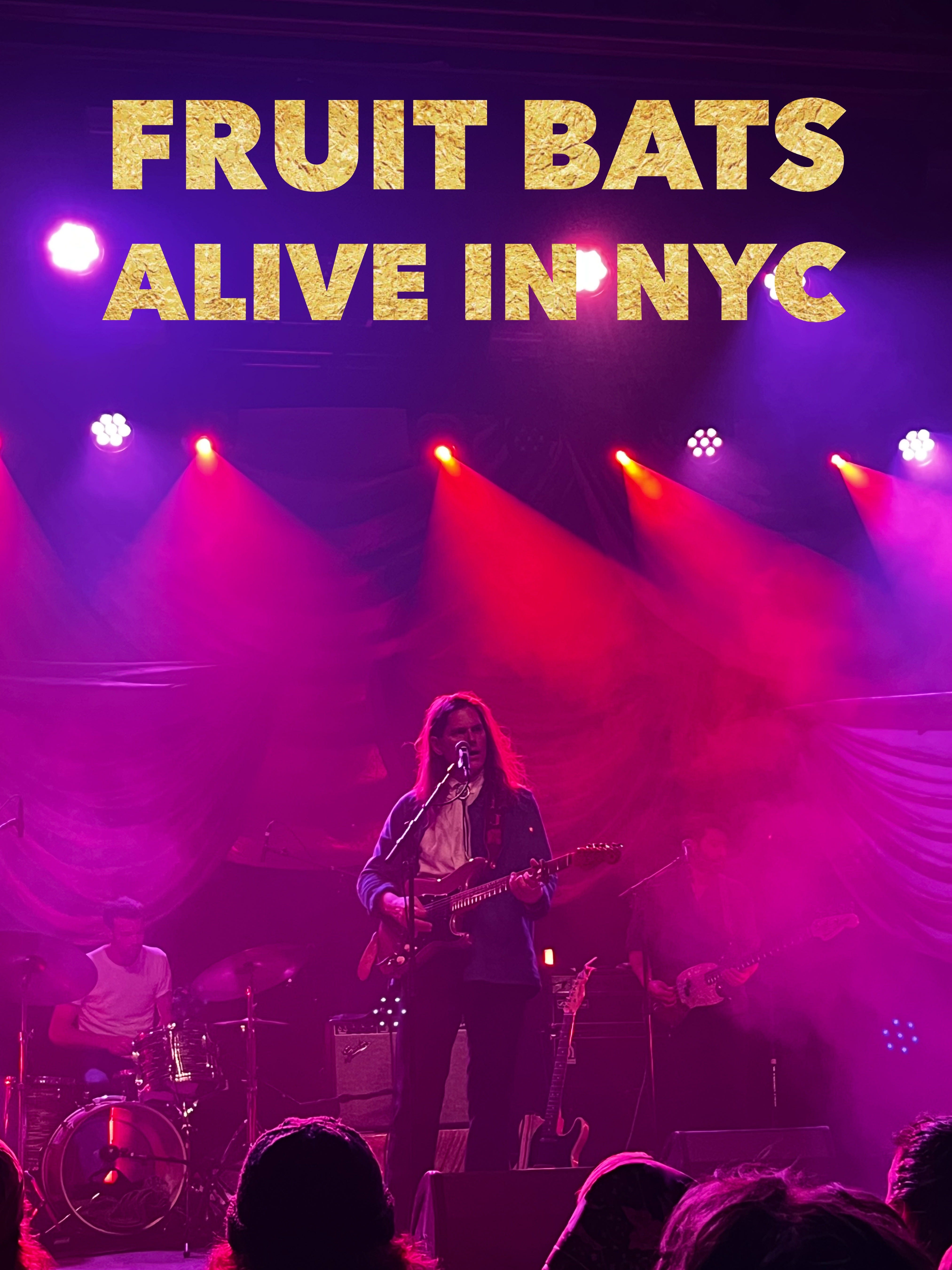 Live Log 2023 Fruit Bats Alive In NYC by Jeremy Shatan