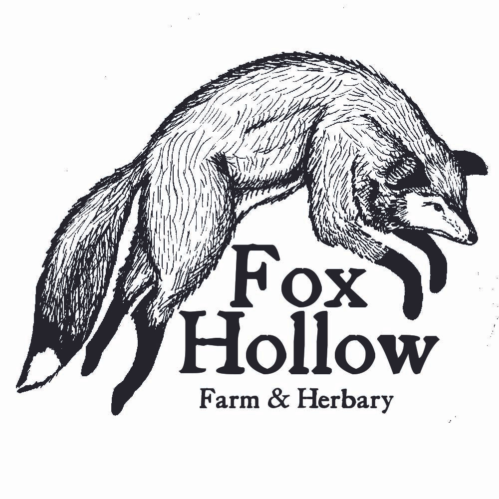 Fox Hollow Farm & Herbary Substack