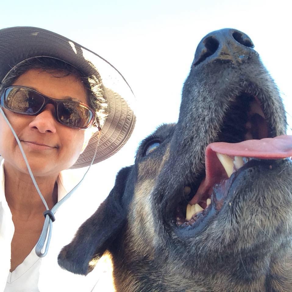 Nazli Nomanbhoy Substack