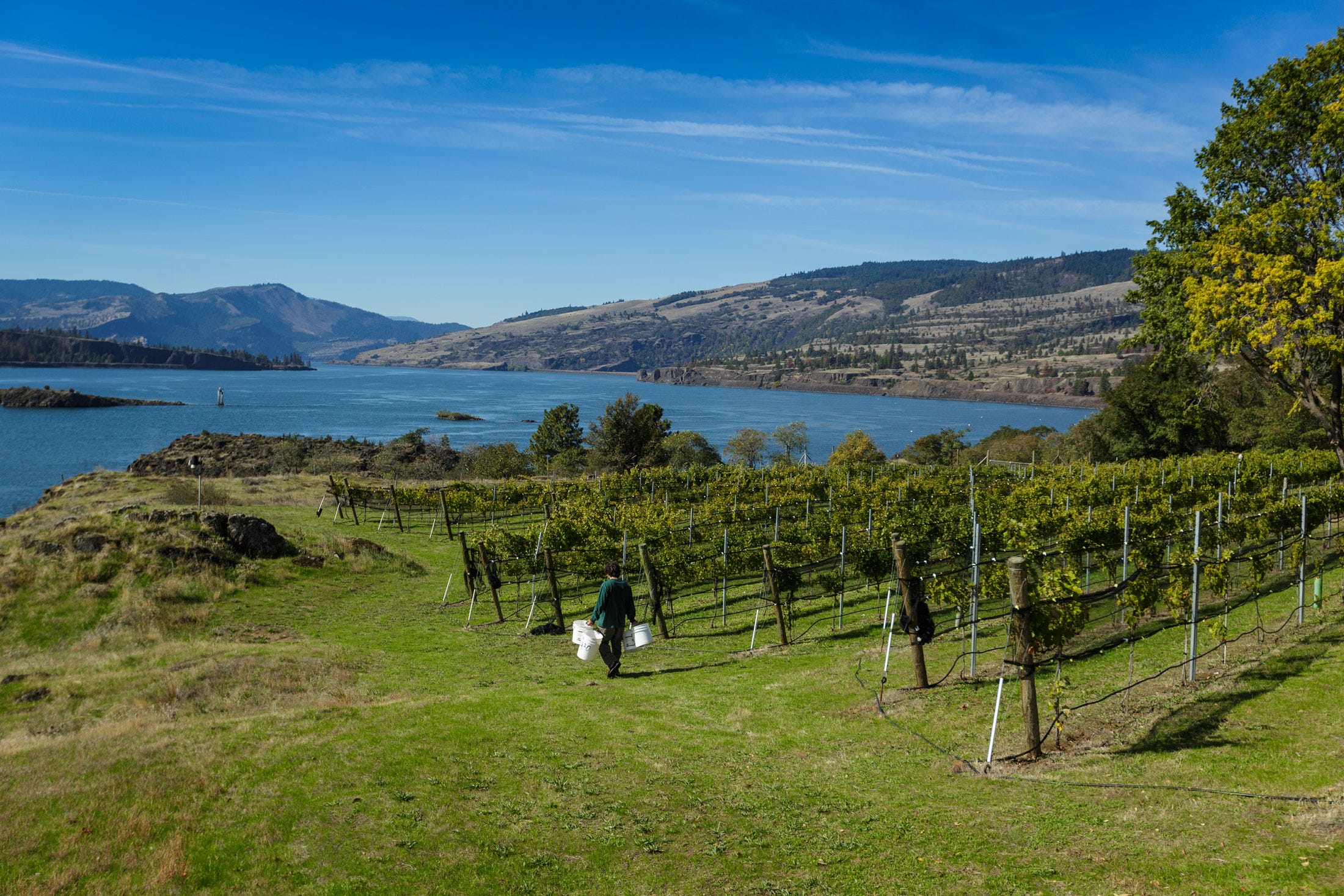 Winery nearby sale