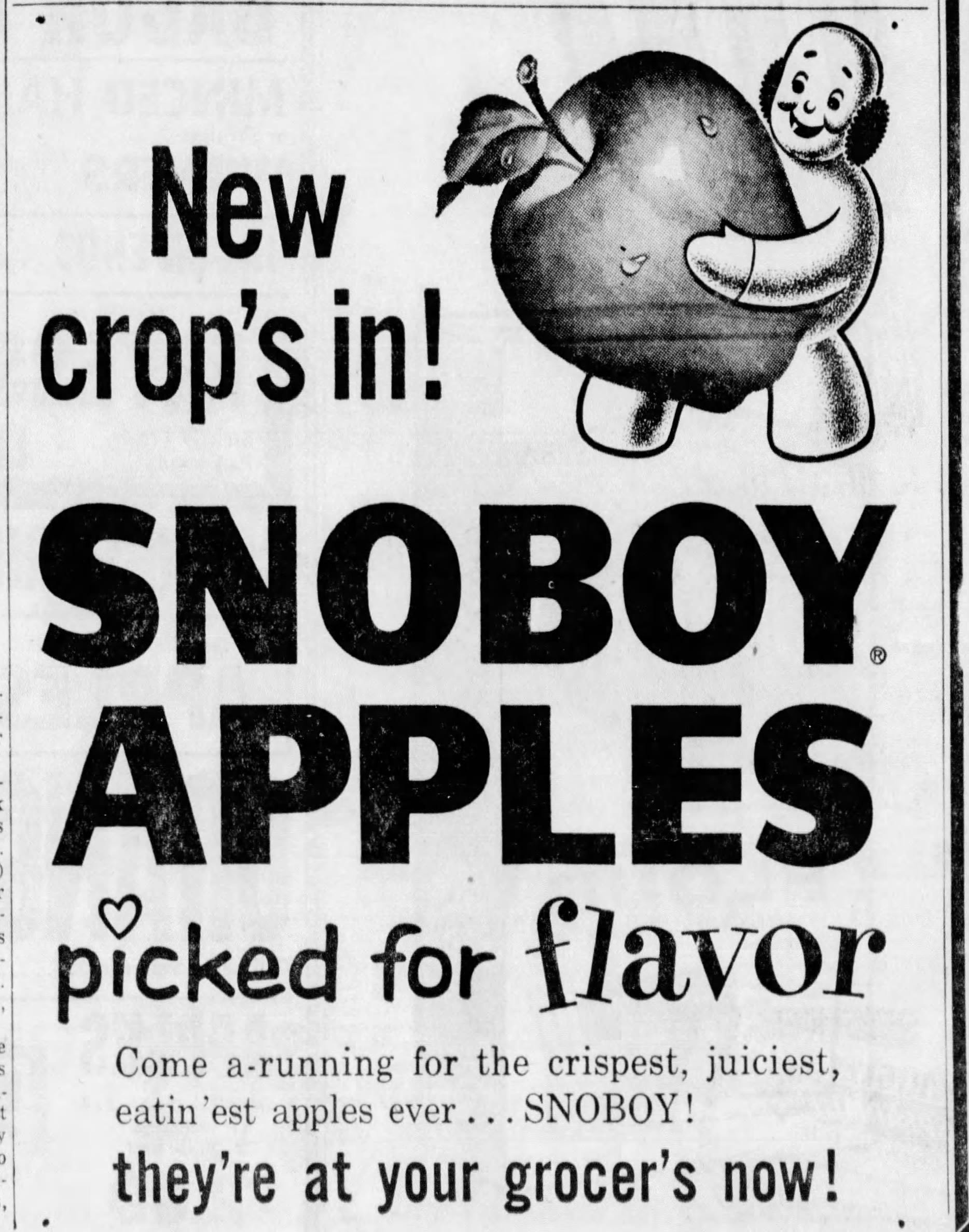 Breaking Alleva Dairy, billed as America's oldest cheese shop, closes