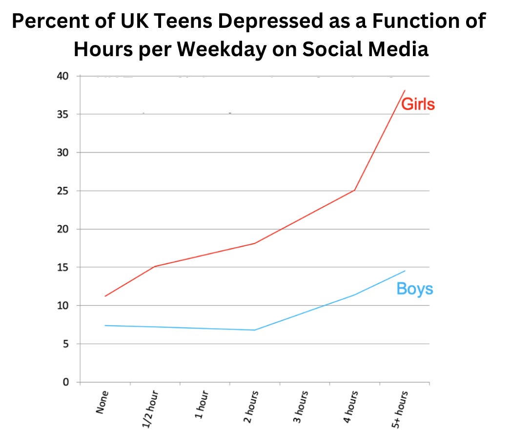 Social Media is a Major Cause of the Mental Illness Epidemic in Teen