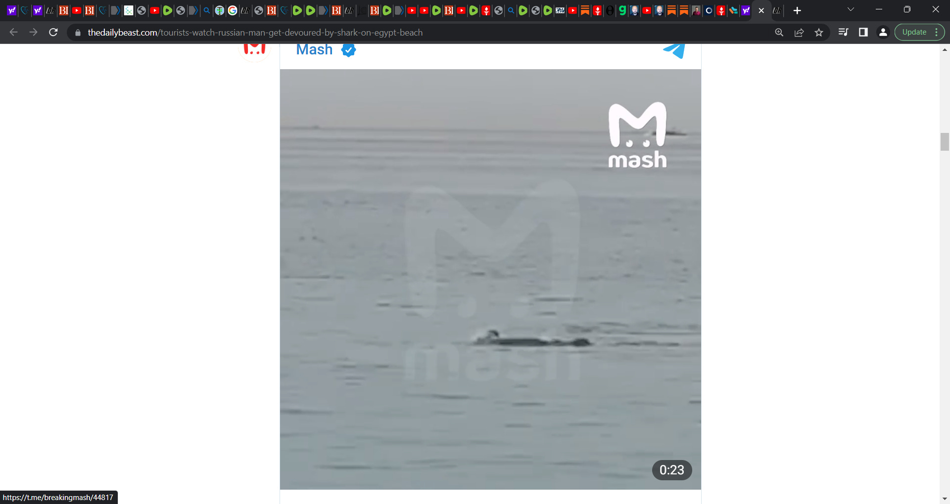 Man eaten alive by shark in Egypt on camera; caution, disturbing image