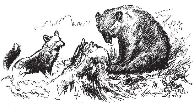 The Bear and the Fox 2/2 - The Junior Classics