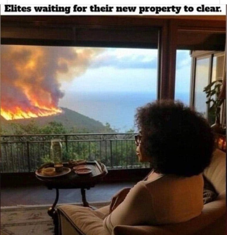 The Maui Fire Massacre by Amy Sukwan Amy’s Newsletter