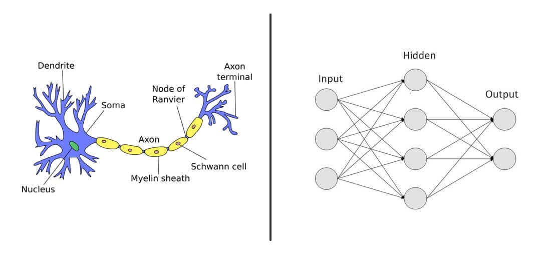 How Neural Networks Learn - by Arjun - import learnai