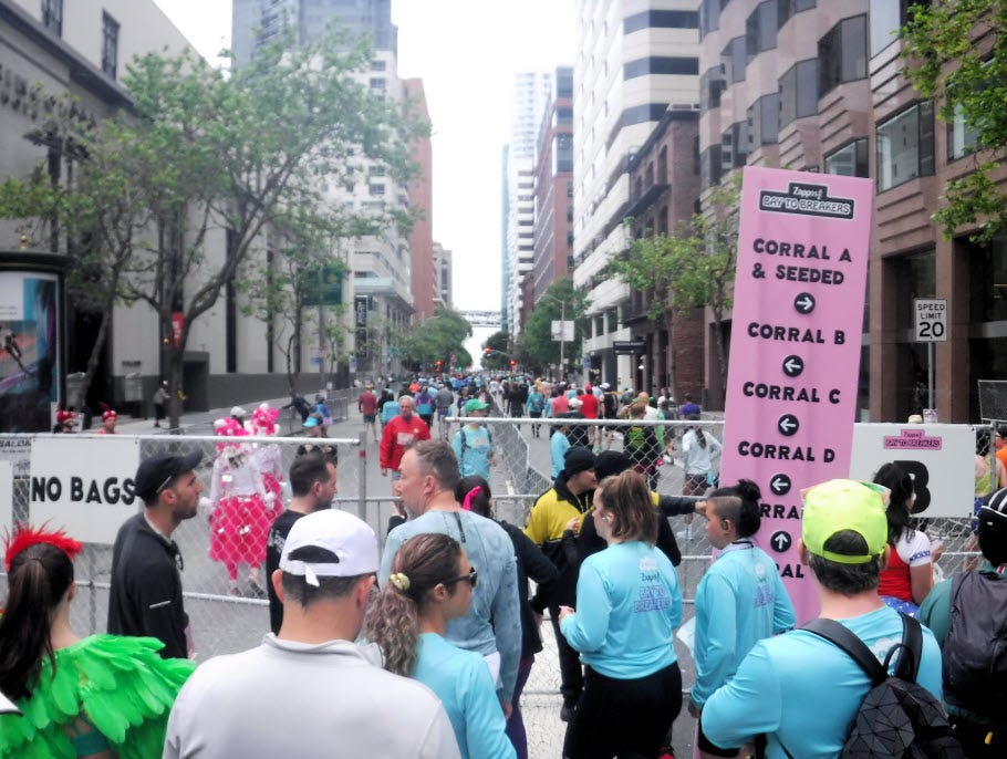 Bay to Breakers 2023 - by Au Naturel