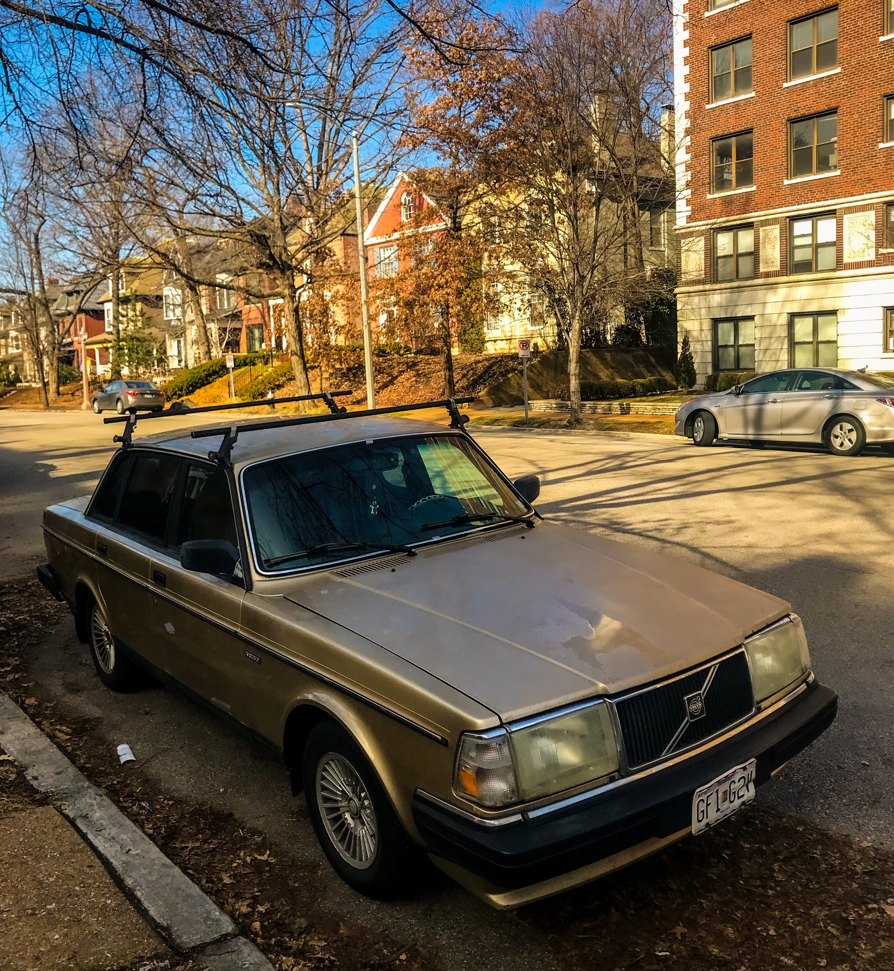 Cars of the City - by Tipper Raddle - Tipical World