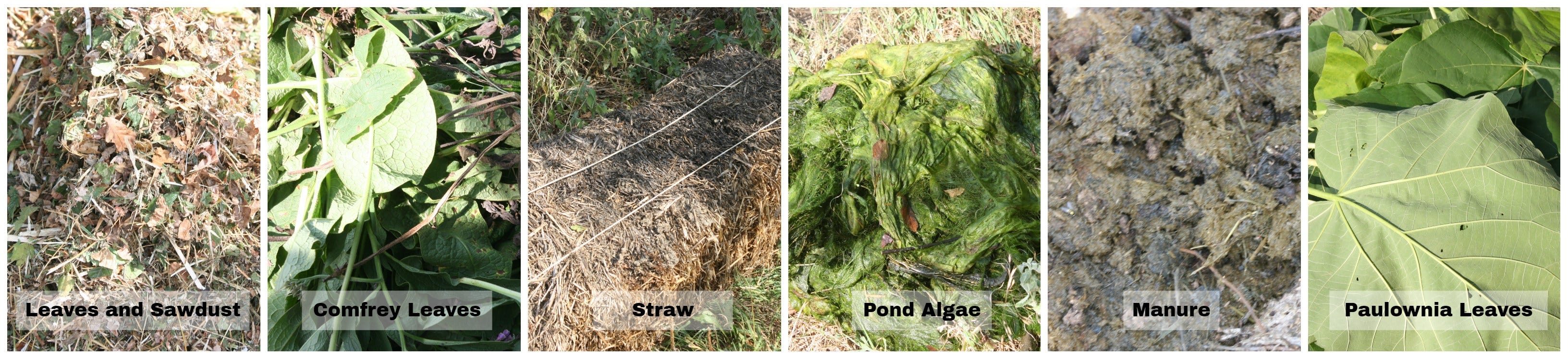 Balkan Ecology Project : Composting - How to make it , how to use it ...