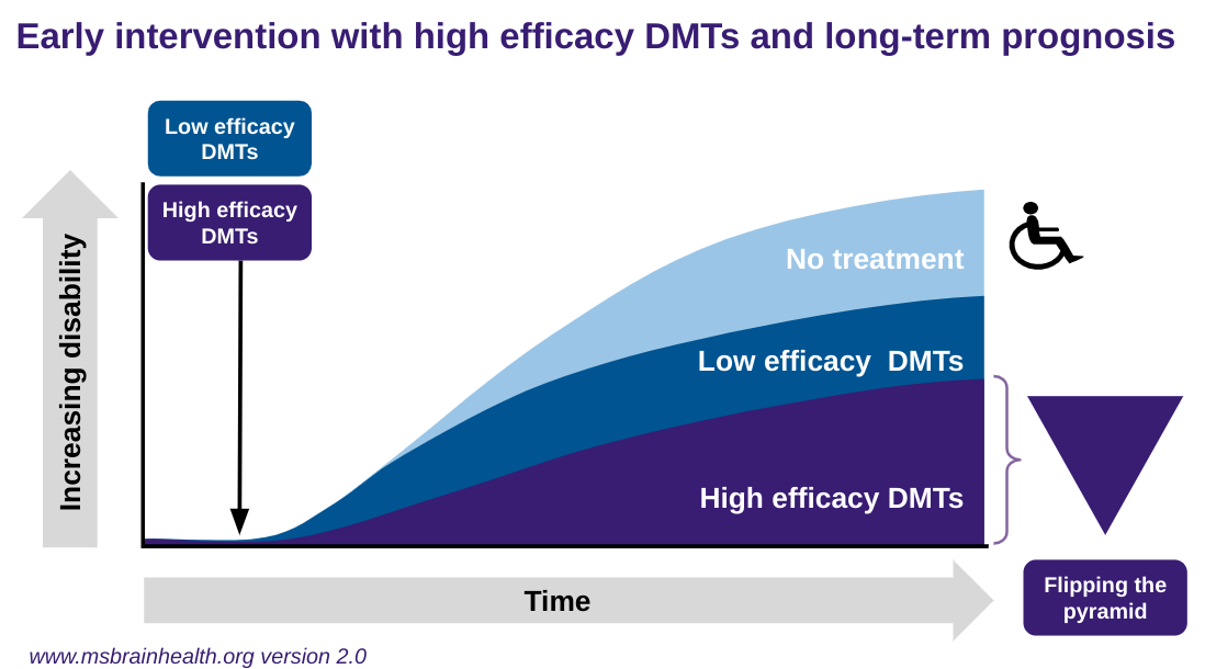 Principles underpinning the treatment of MS