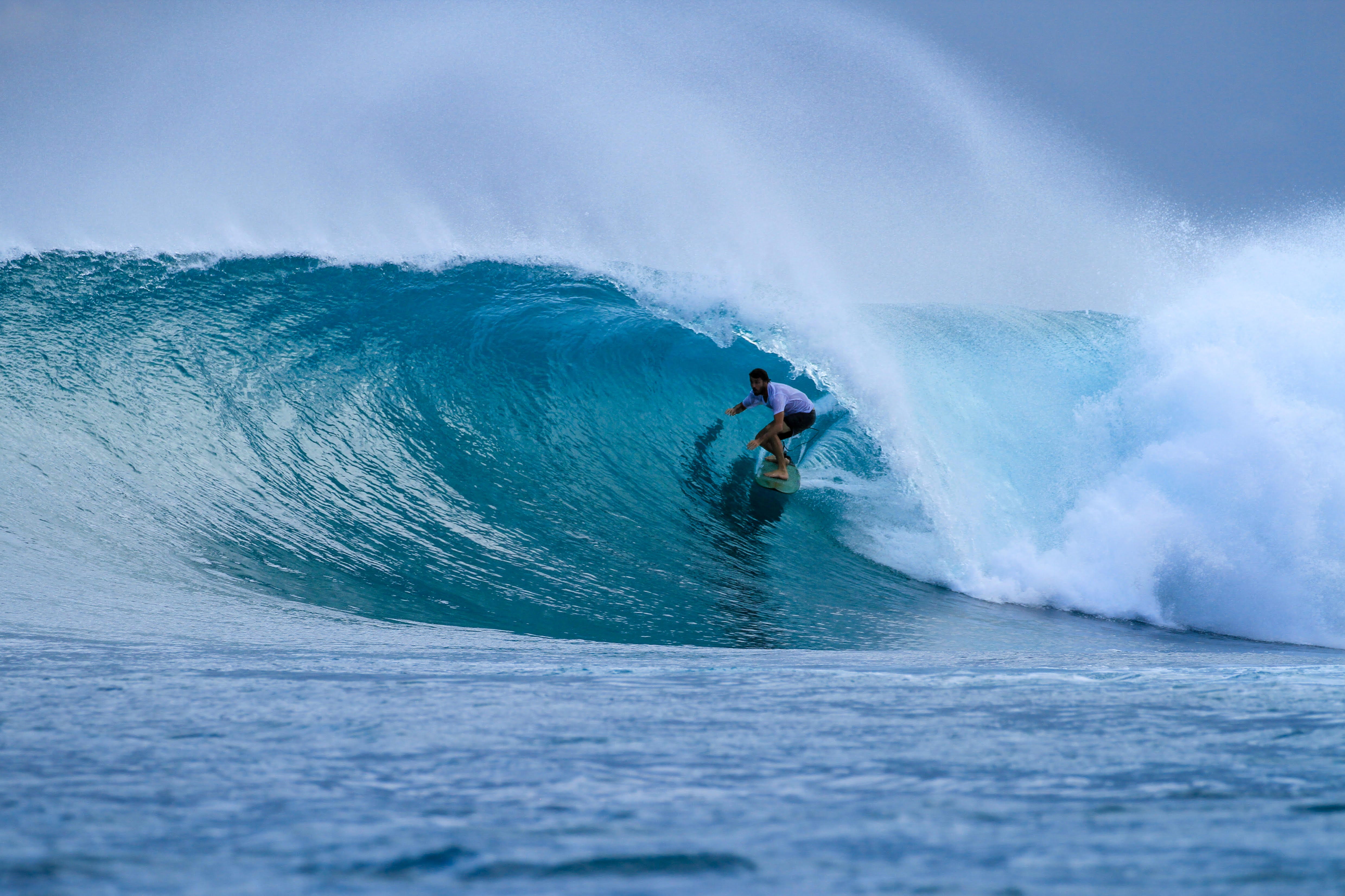 Patagonia surf sales activists