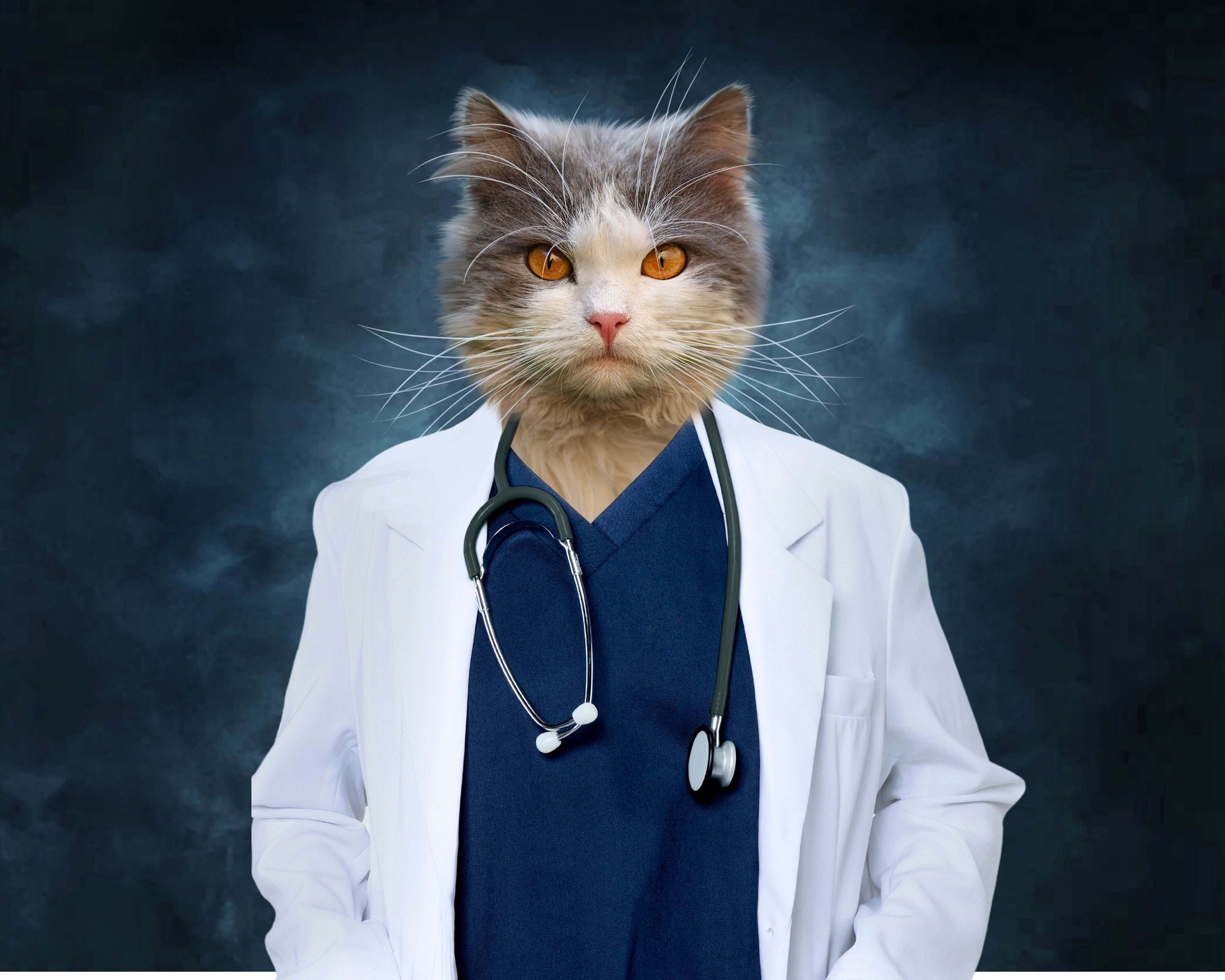 Is Dr. Cat Begovic Really That Expensive? - 2sgjw80
