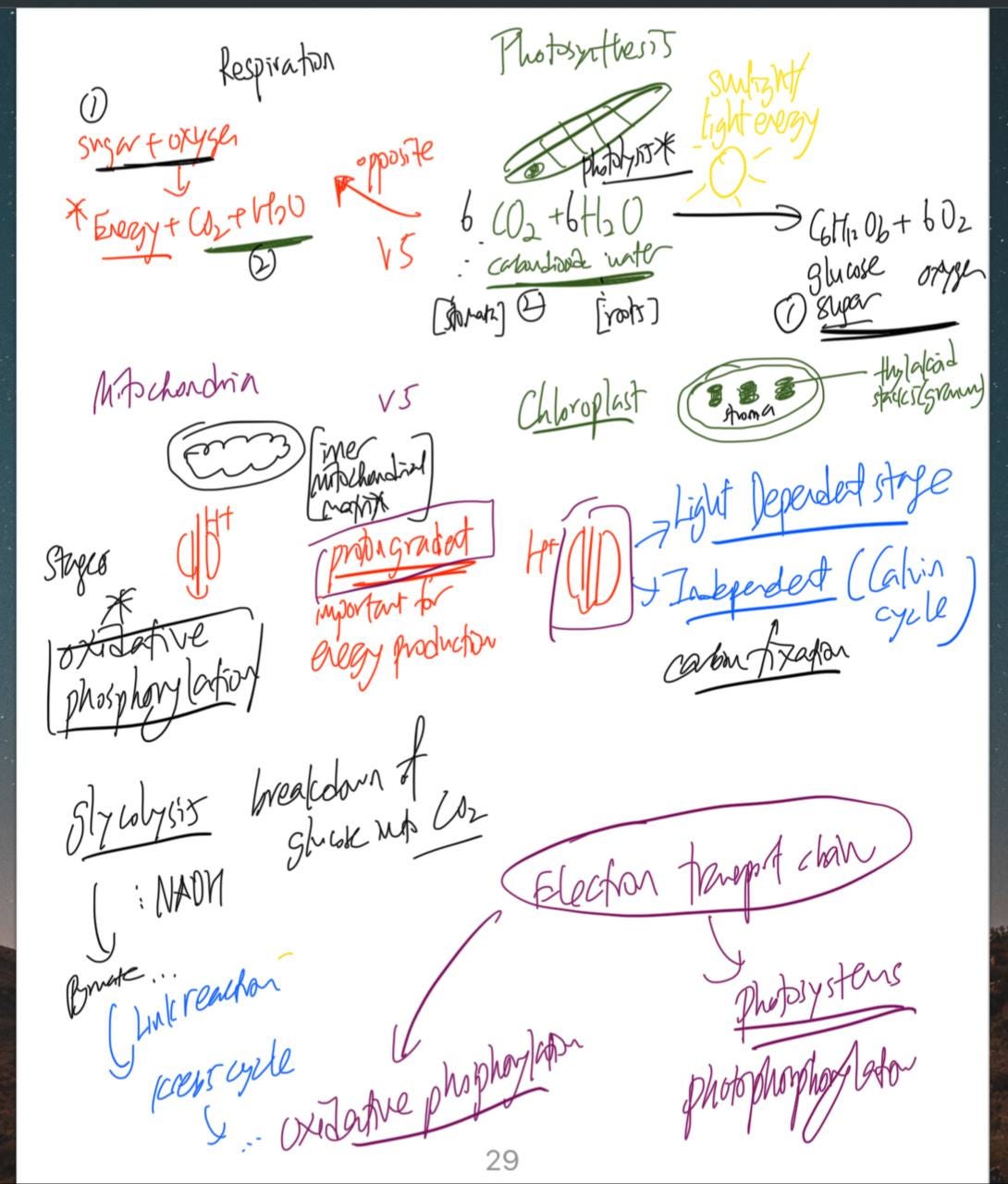 How and Why to use interleaved practices for better revision