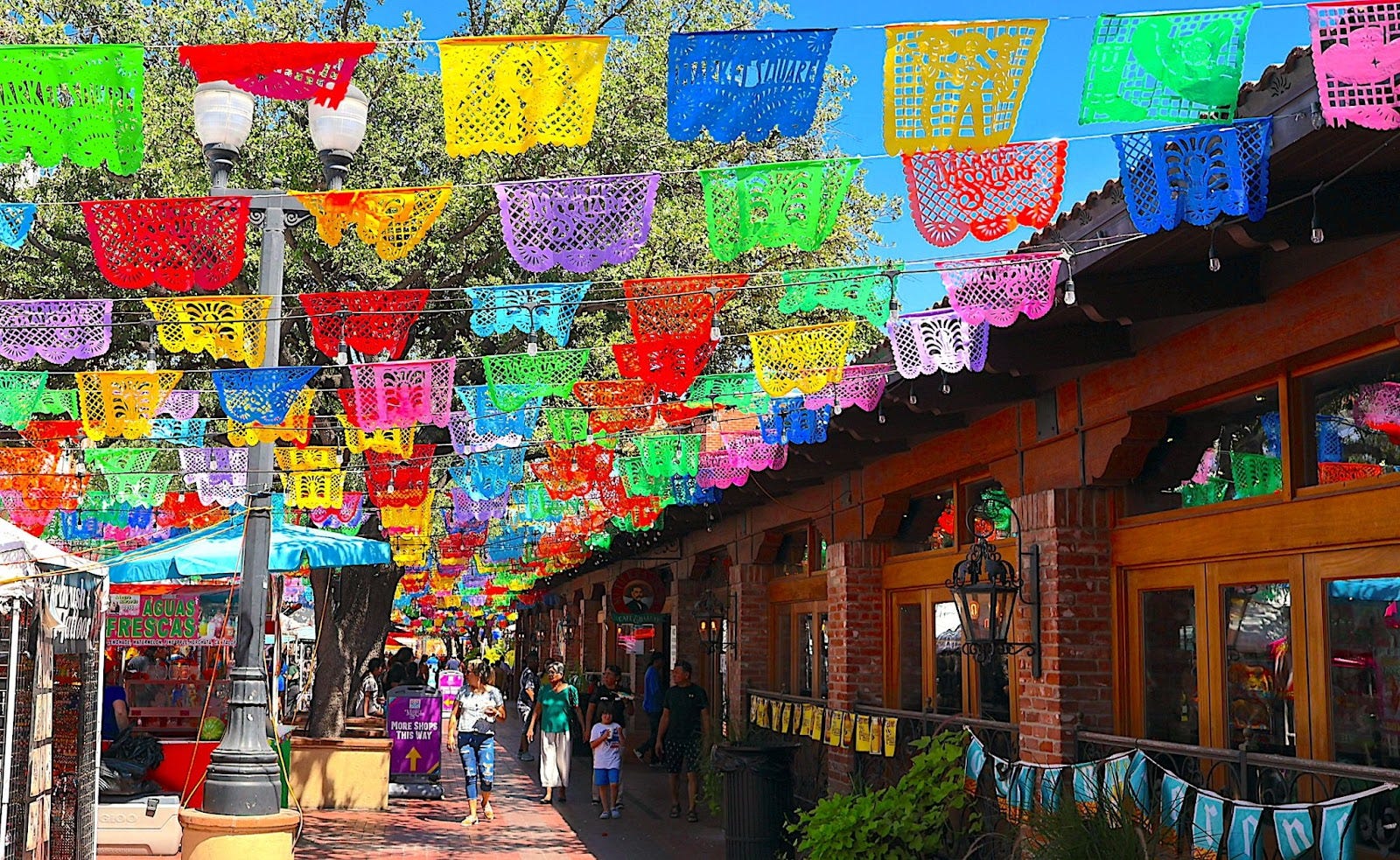 The San Antonio de los Buenos Focus and Infrastructure Investments