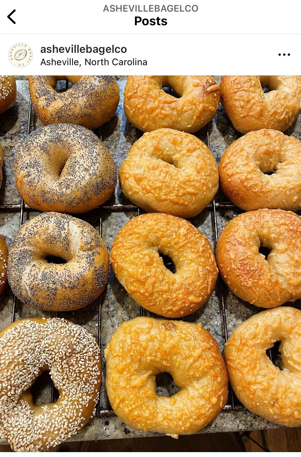 Asheville Bagel Co. launches to high demand
