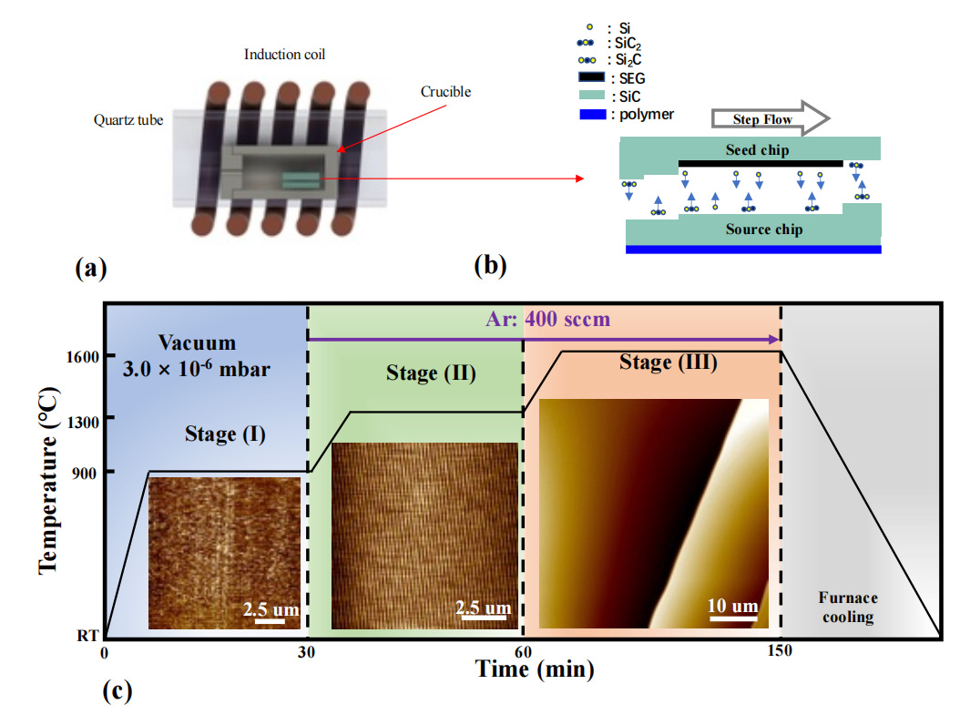 Graphene Chips as Next Generation Semiconductors