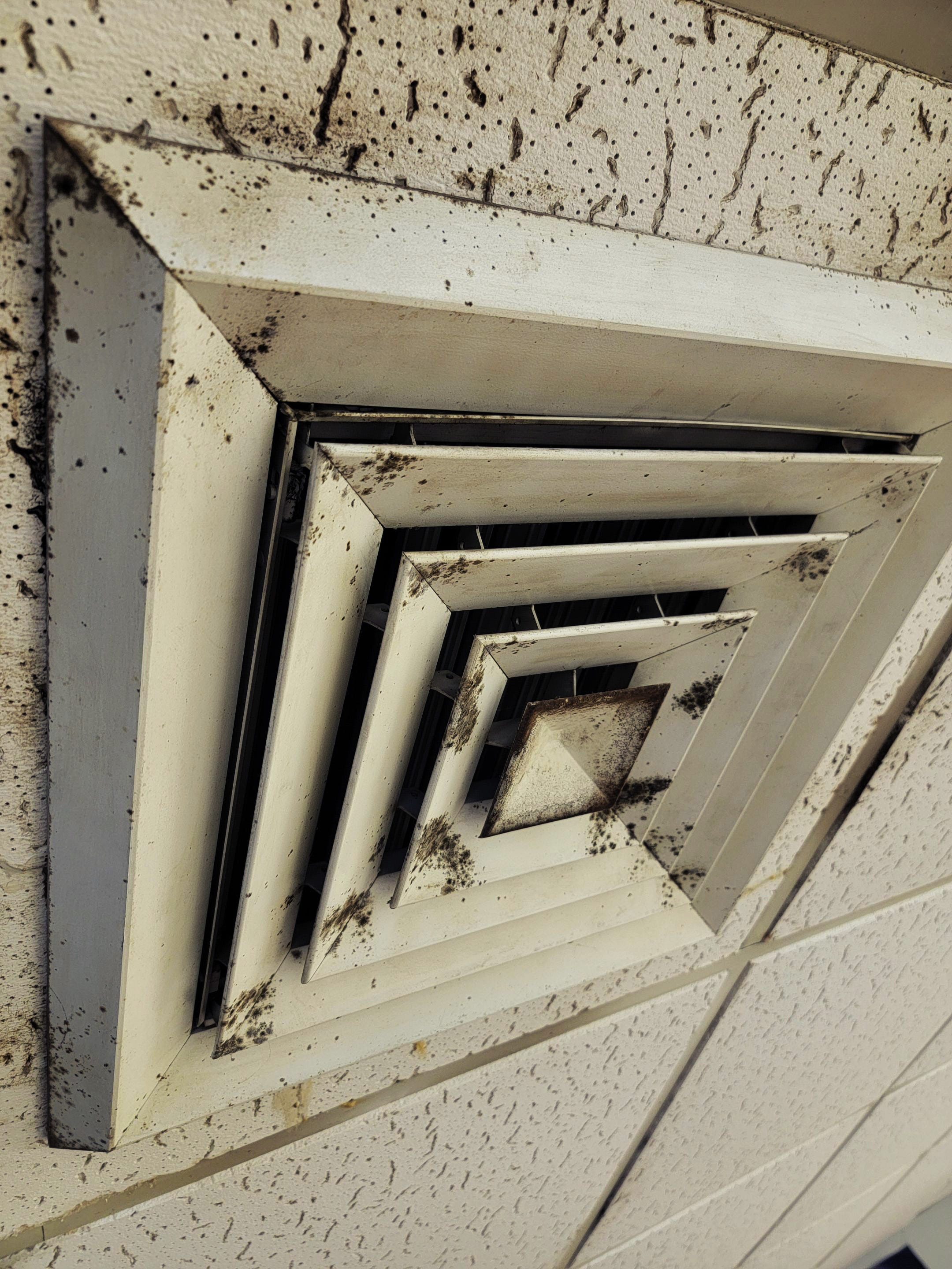 Clearing the Air About Air Purifiers Are they a Waste of Money?