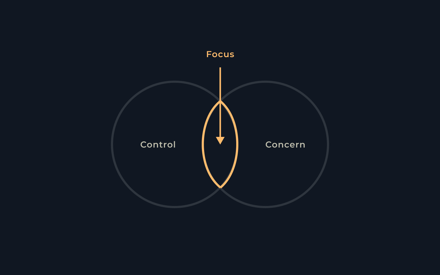 Focus Principles The Control-Concern-Focus Principle - by Phil Hagspiel