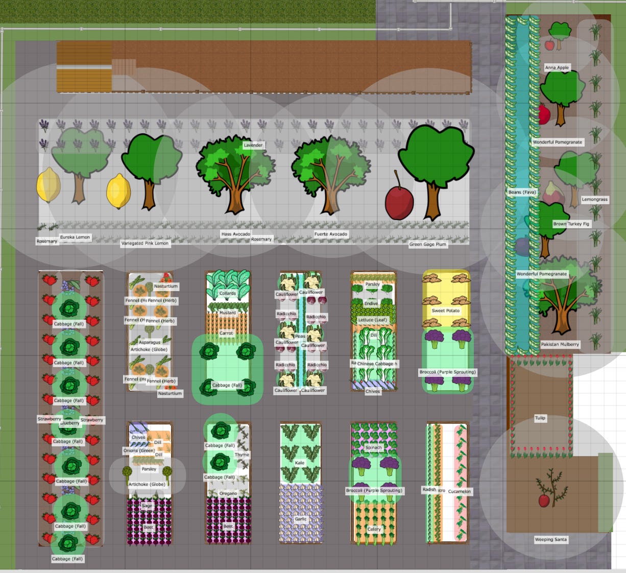 How To Plan Your 2024 Garden Carmen In The Garden   8795daef F5a3 4891 Bc47 E574f1c4851b 1226x1122 