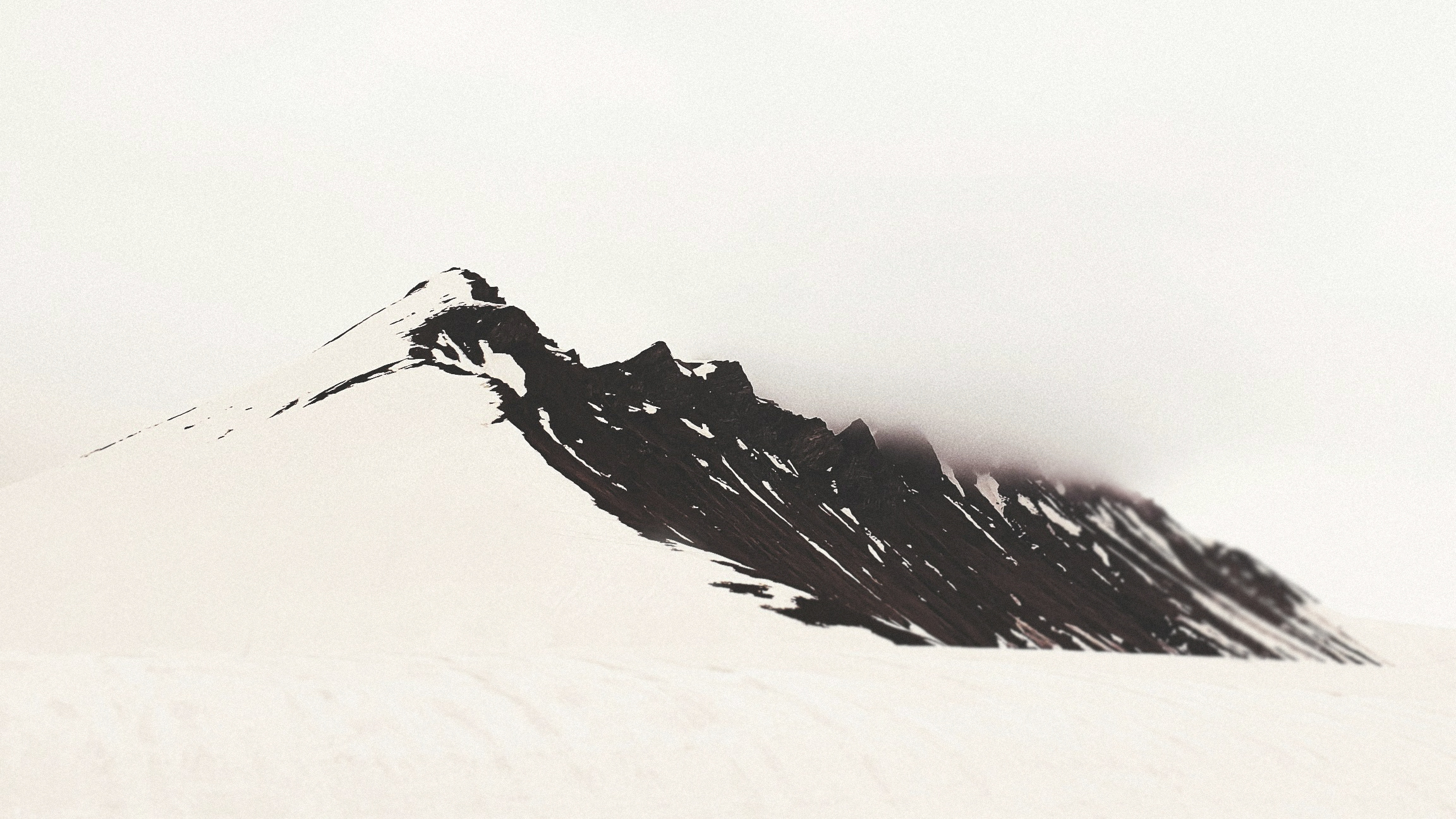 Basho - As the temple bell fades, The ringing lingers in the