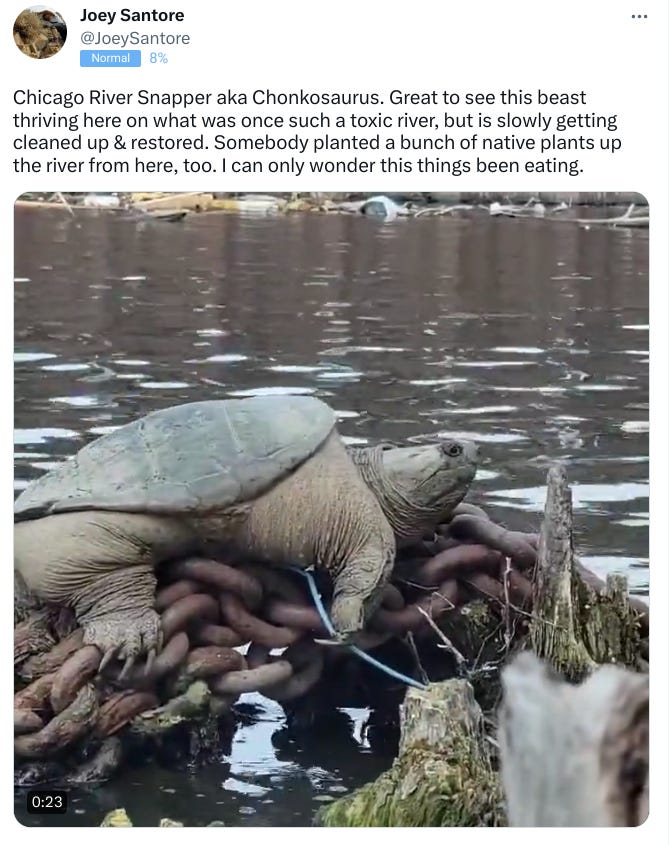 The 25,000 Question by Benjamin Wittes Dog Shirt Daily