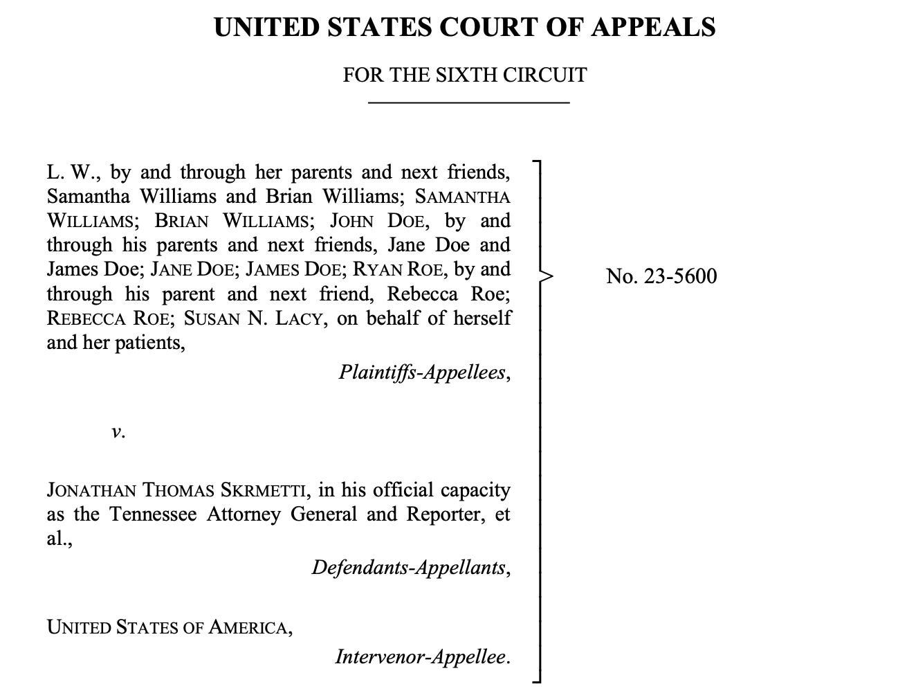 Sixth circuit opinions on sale