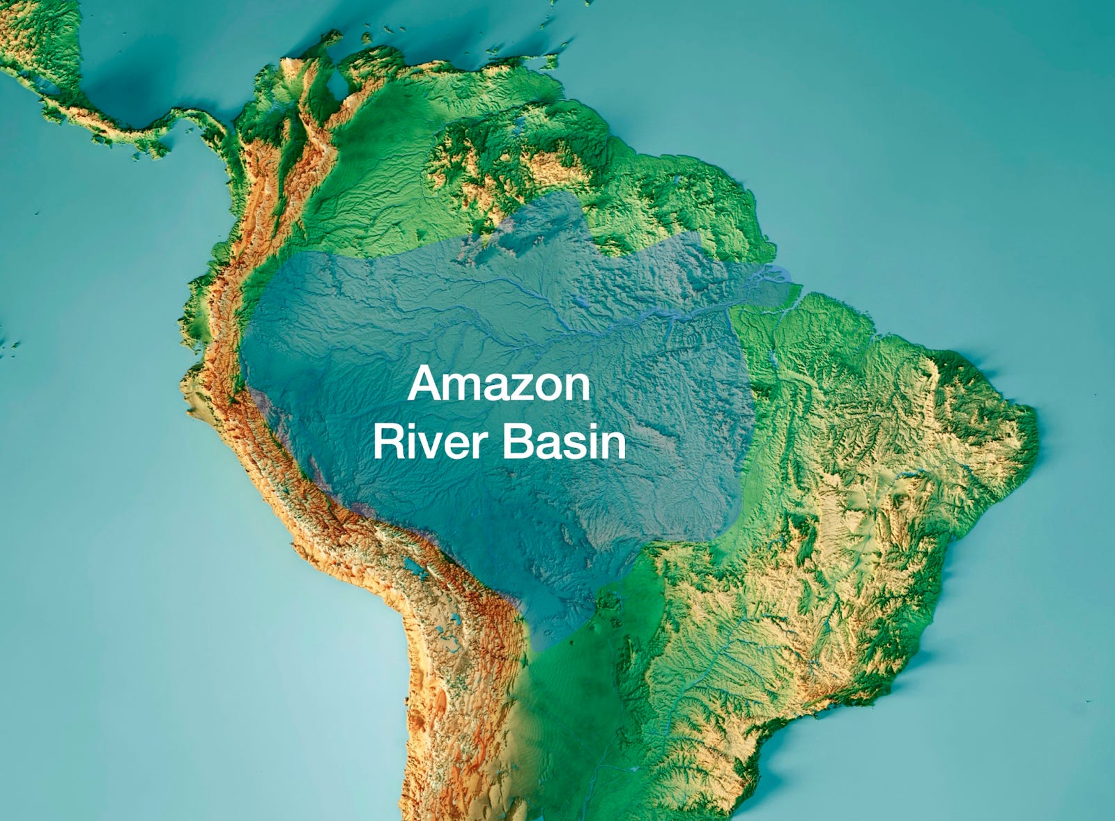 The Amazon Rainforest by Tomas Pueyo