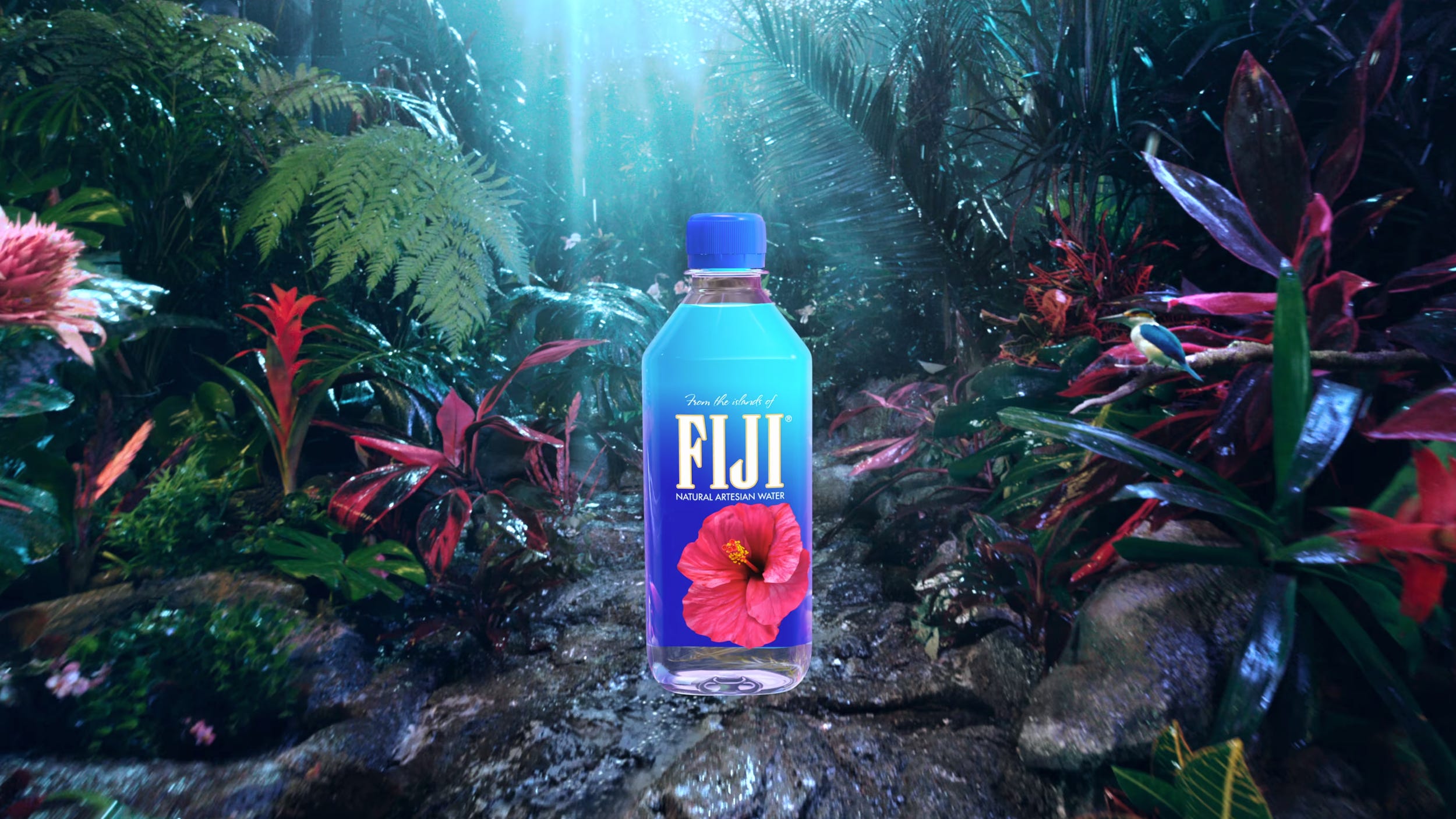 What makes Fiji water so special? by Alias The BURNER