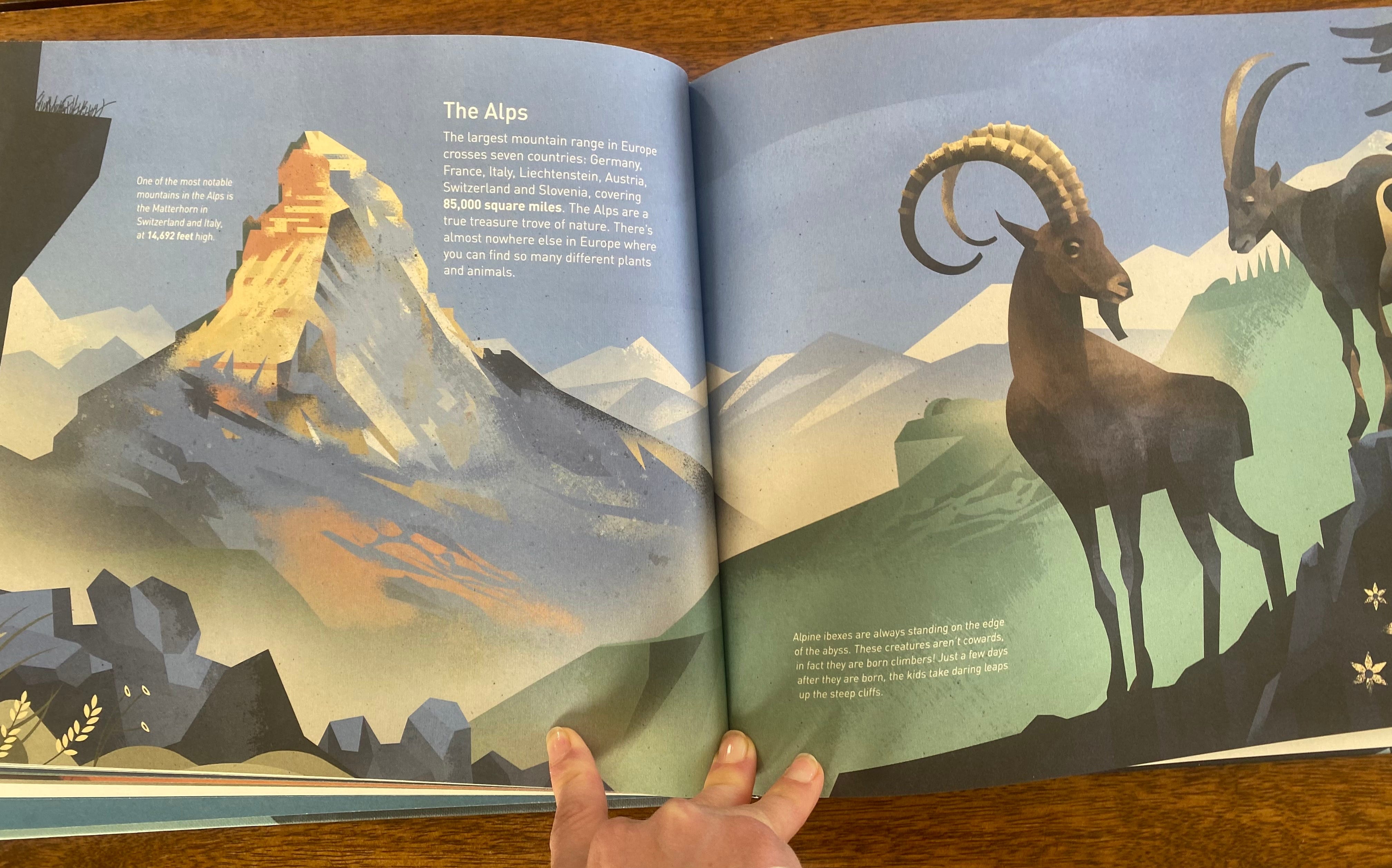 📚☕️A peek at our kidfriendly coffee table books